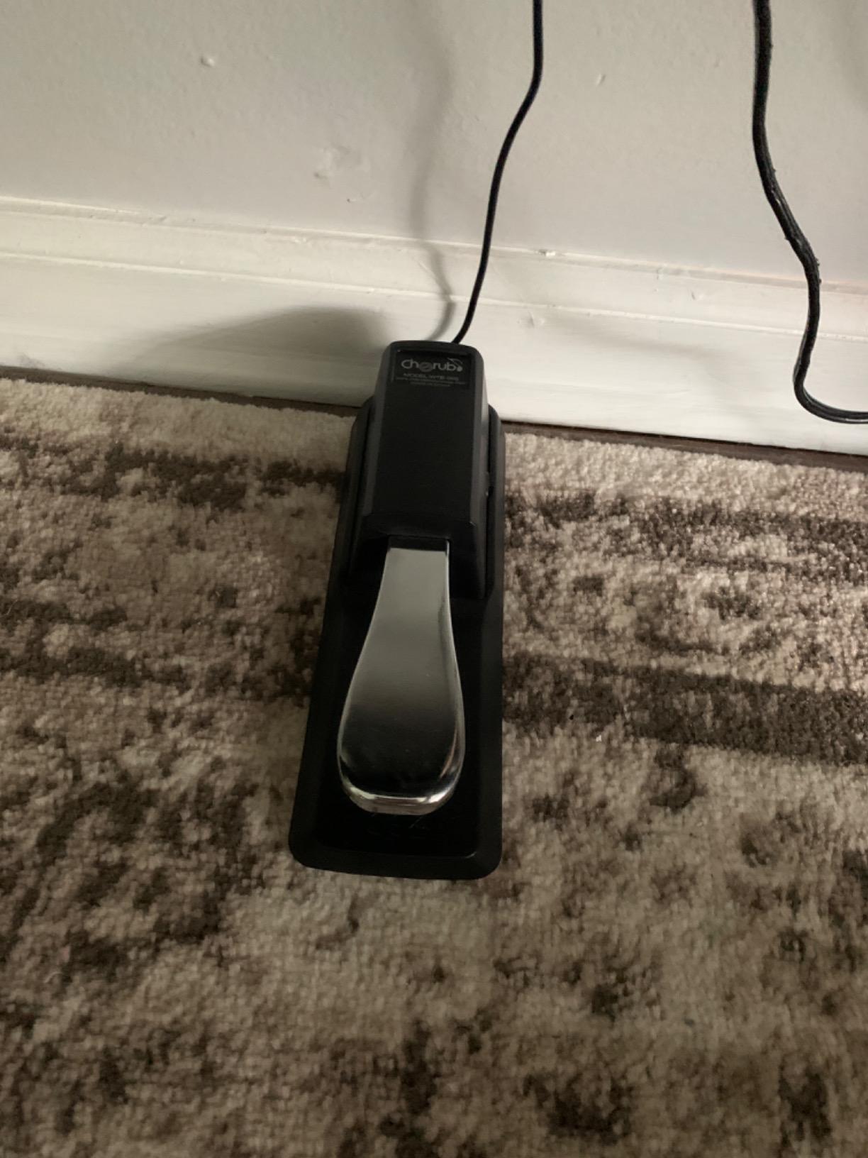 Sustain Pedal for Yamaha Roland Casio Korg Nord Kurzweil Hammond Alesis Moog Ensoniq Behringer Waldorf Arturia Akai Farfisa Studiologic Arp Piano Keyboards and so on customer photo 1