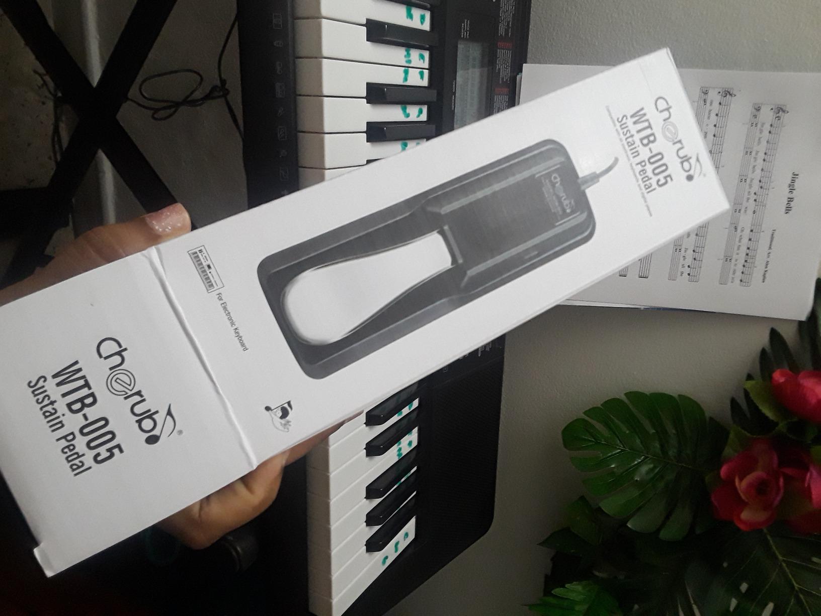 Sustain Pedal for Yamaha Roland Casio Korg Nord Kurzweil Hammond Alesis Moog Ensoniq Behringer Waldorf Arturia Akai Farfisa Studiologic Arp Piano Keyboards and so on customer photo 2