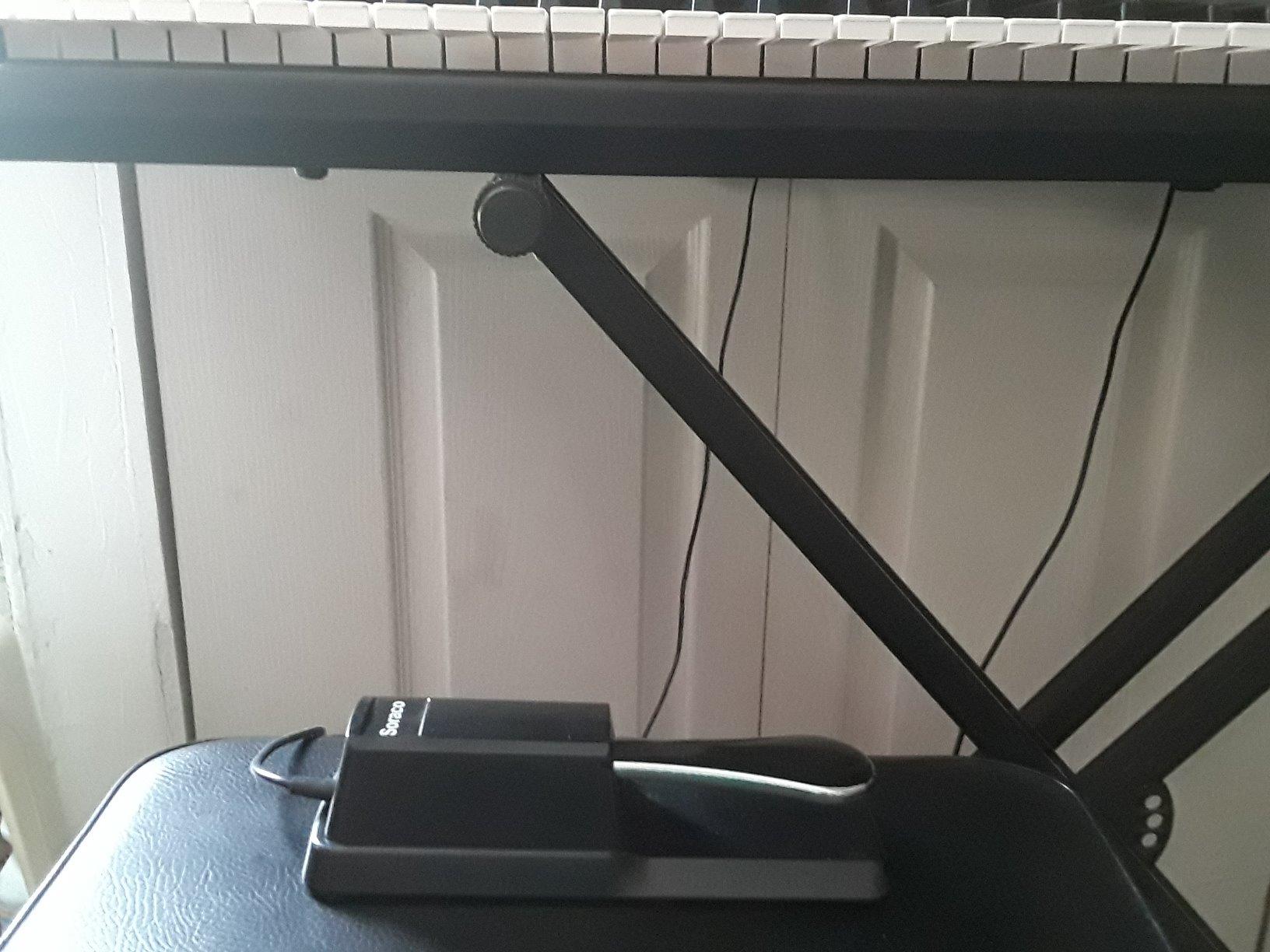 Soraco Sustain Pedal Universal for Yamaha Casio Roland Korg Behringer Moog Piano Midi Electronic keyboards Style with Polarity Switch, 1/4'' Input Plug customer photo 1
