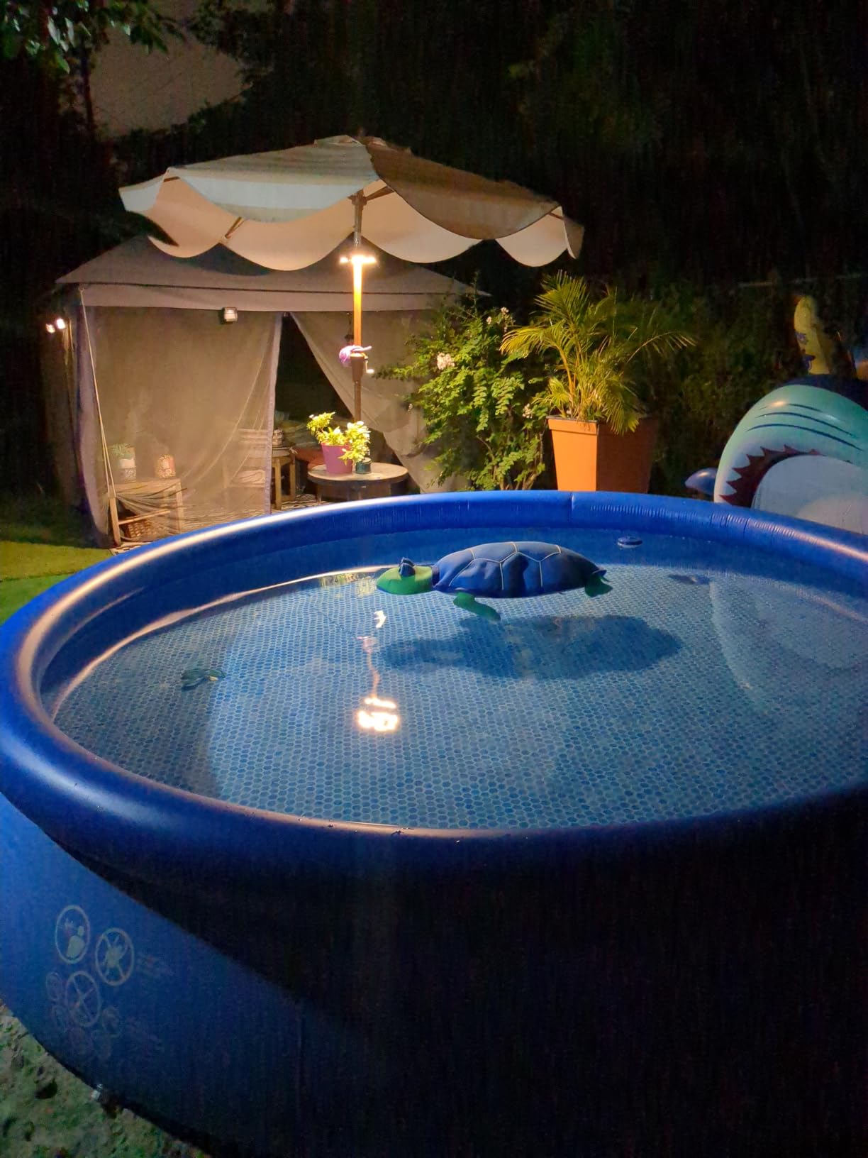 INTEX Easy Set 15 ft x 48in Inflatable Ring Above Ground Pool Set w/Pump customer photo 1