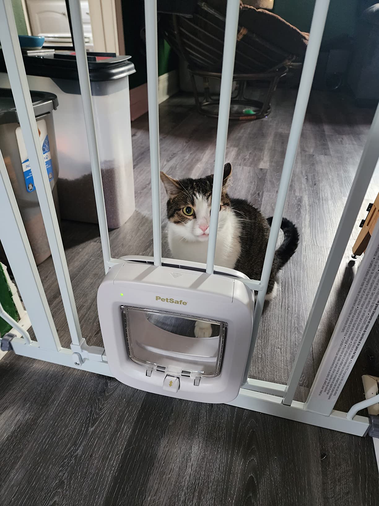 PetSafe Microchip Cat Door, Interior/Exterior, Multi-Pet, 4-Way Lock customer photo 2