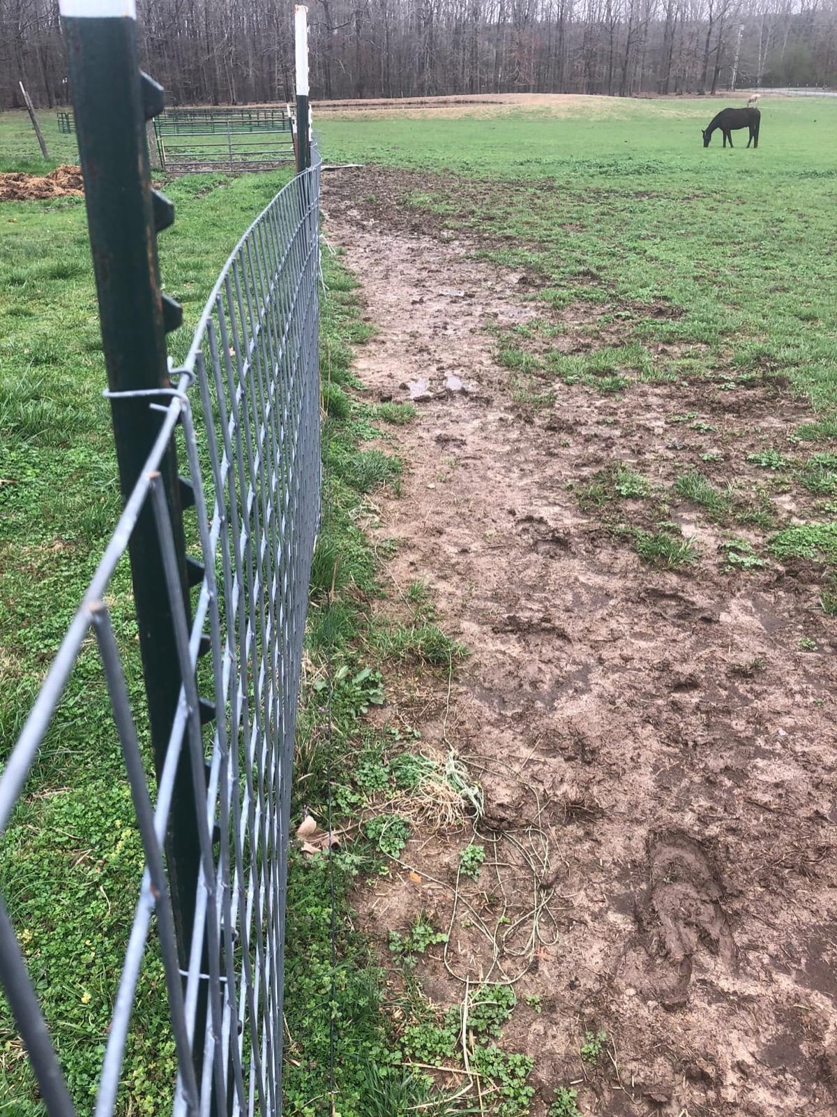 Underground Electric Dog Fence Kit, Pro Grade, 2-Dog, 1000 ft customer photo 2