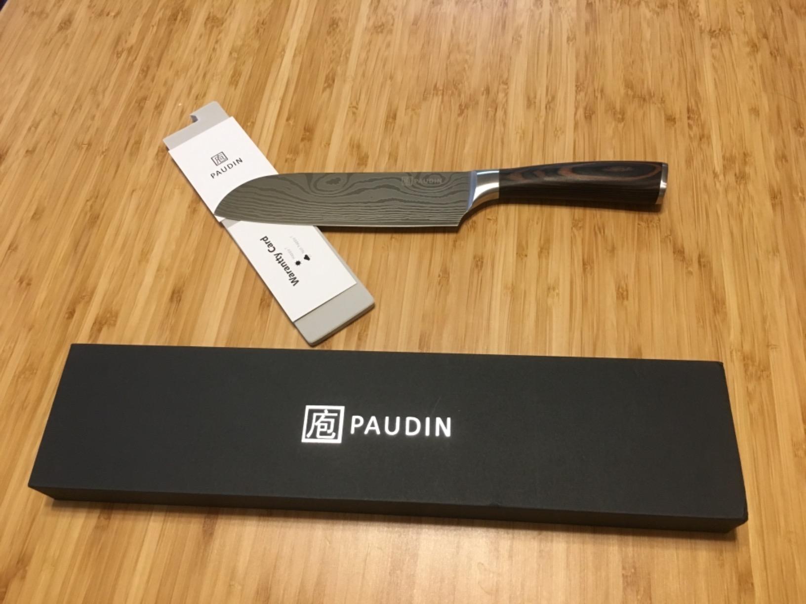 PAUDIN Santoku Knife Chef Knife, Ultra Sharp 7