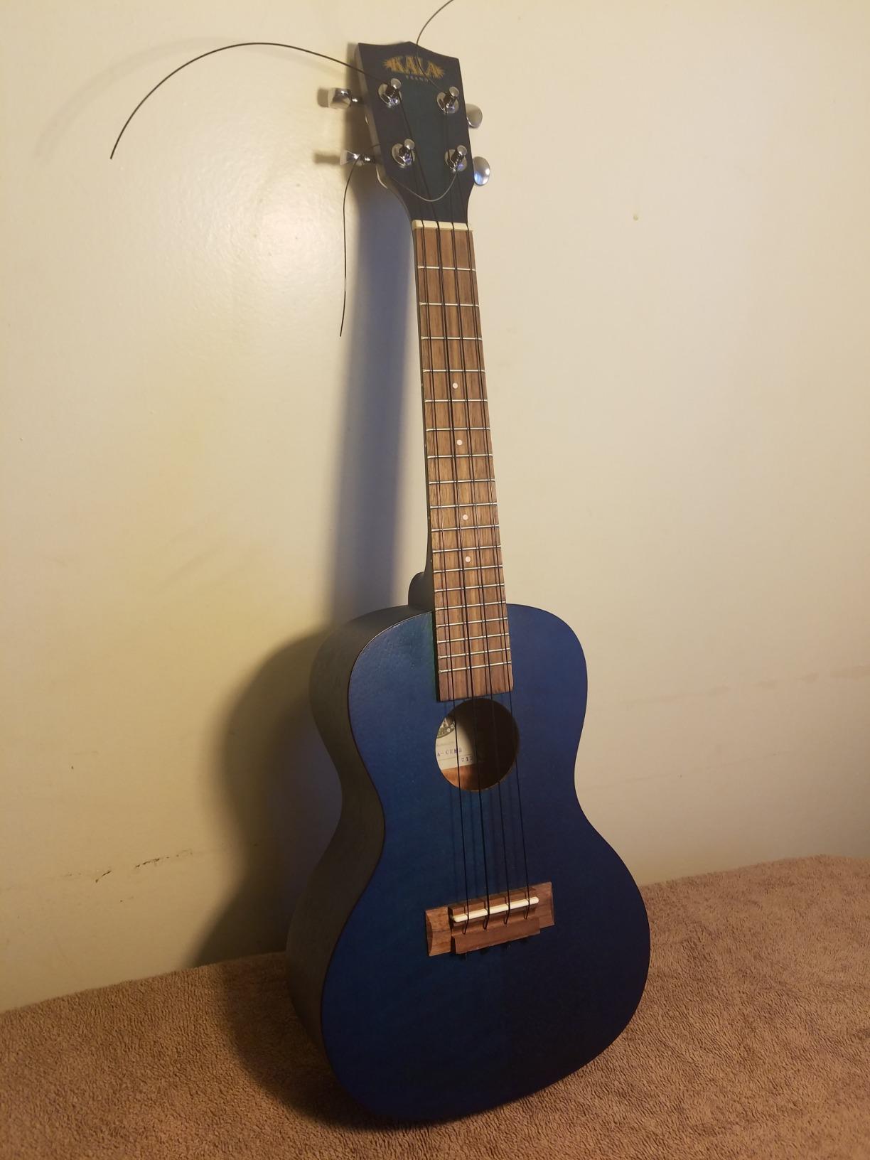 Ernie Ball Ukulele Ball End Nylon Strings, Black (P02326) customer photo 1