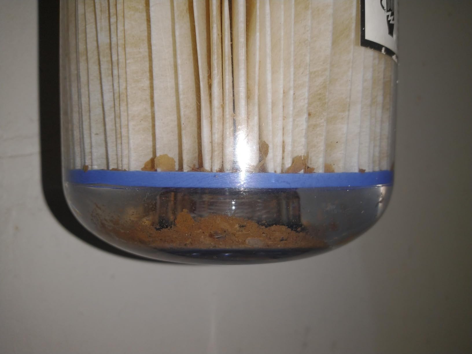 A. O. Smith Whole House Water Filter System | 600K Gal | AO-WH-Filter customer photo 1