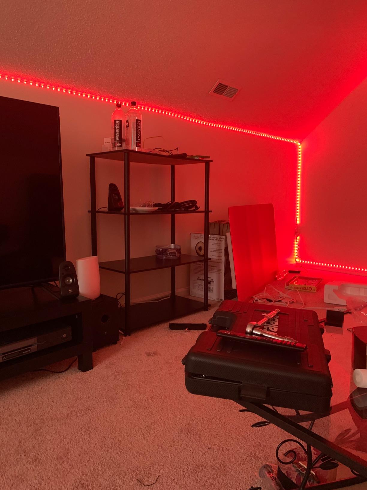 DAYBETTER Led Strip Lights 32.8 ft RGB Color Changing Lights Strip for Bedroom, Desk, Home Decoration, with Remote and Power Supply customer photo 1