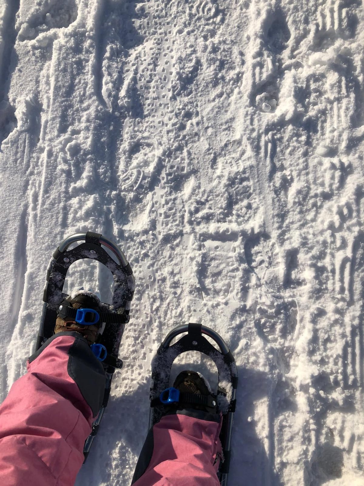Franklin Sports Arctic Trails Snowshoes for Men + Women - Lightweight Aluminum Snowshoes for Adults customer photo 2