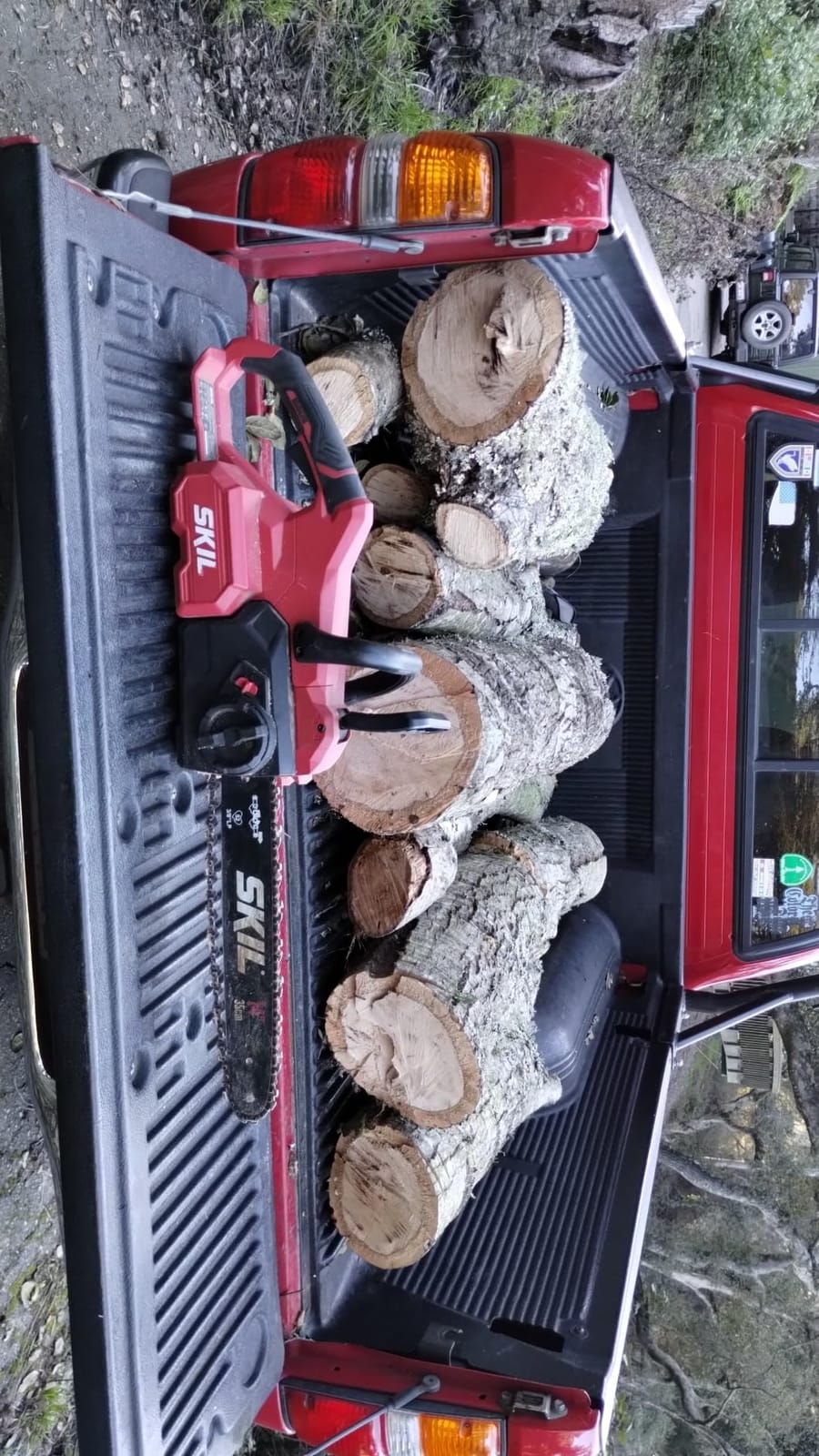 SKIL PWR CORE 40 Brushless 40V 14” Lightweight Chainsaw Kit with Tool-free Chain Tension & Auto Lubrication, Includes 2.5Ah Battery and Auto PWR Jump Charger - CS4555-10 customer photo 2