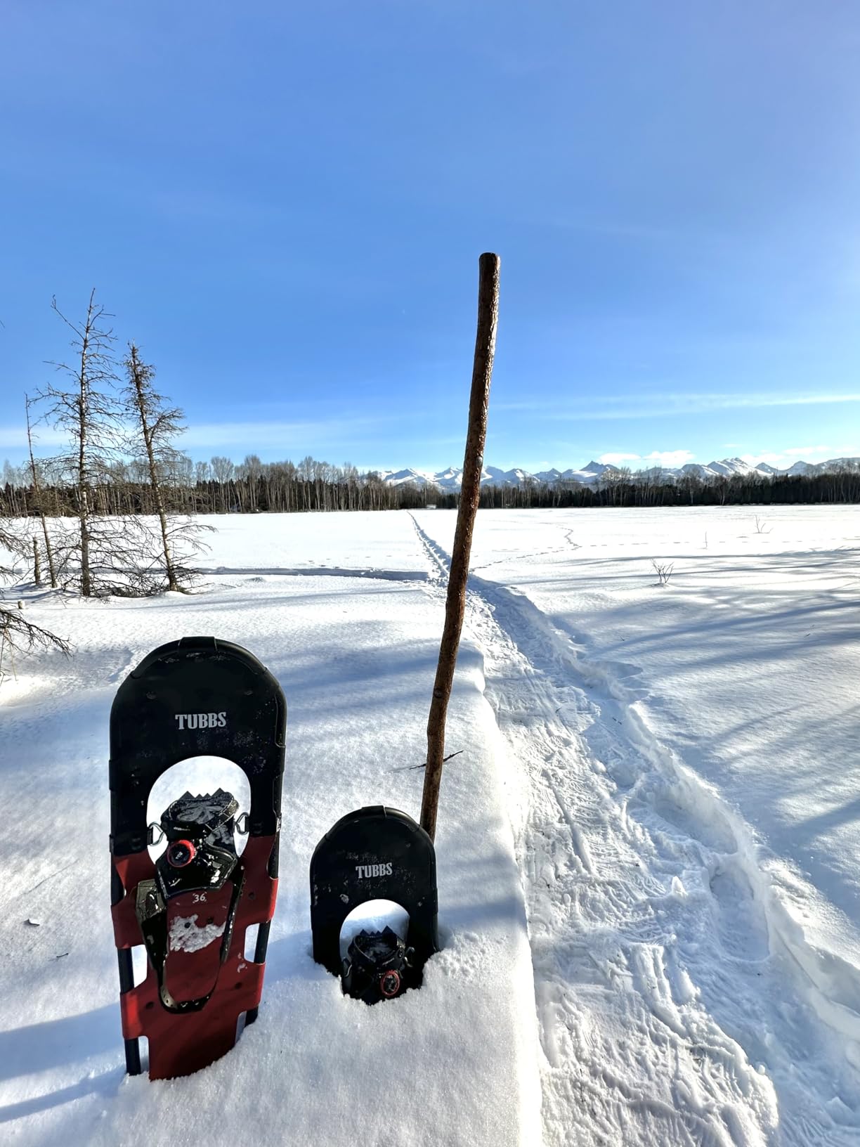 Tubbs, Wayfinder Snowshoe - Men's customer photo 2