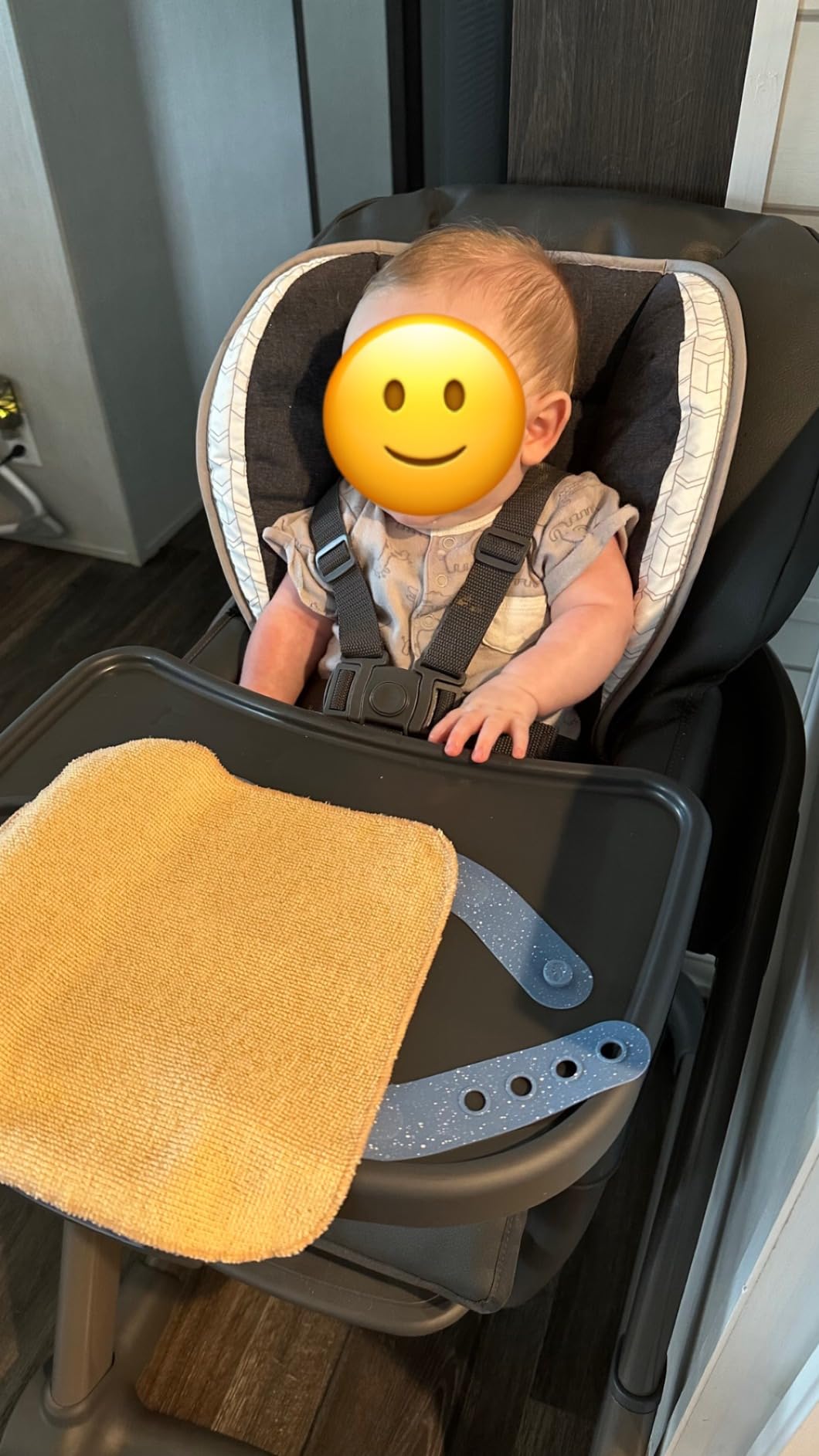 Graco Blossom 6 in 1 Convertible High Chair, Redmond customer photo 1