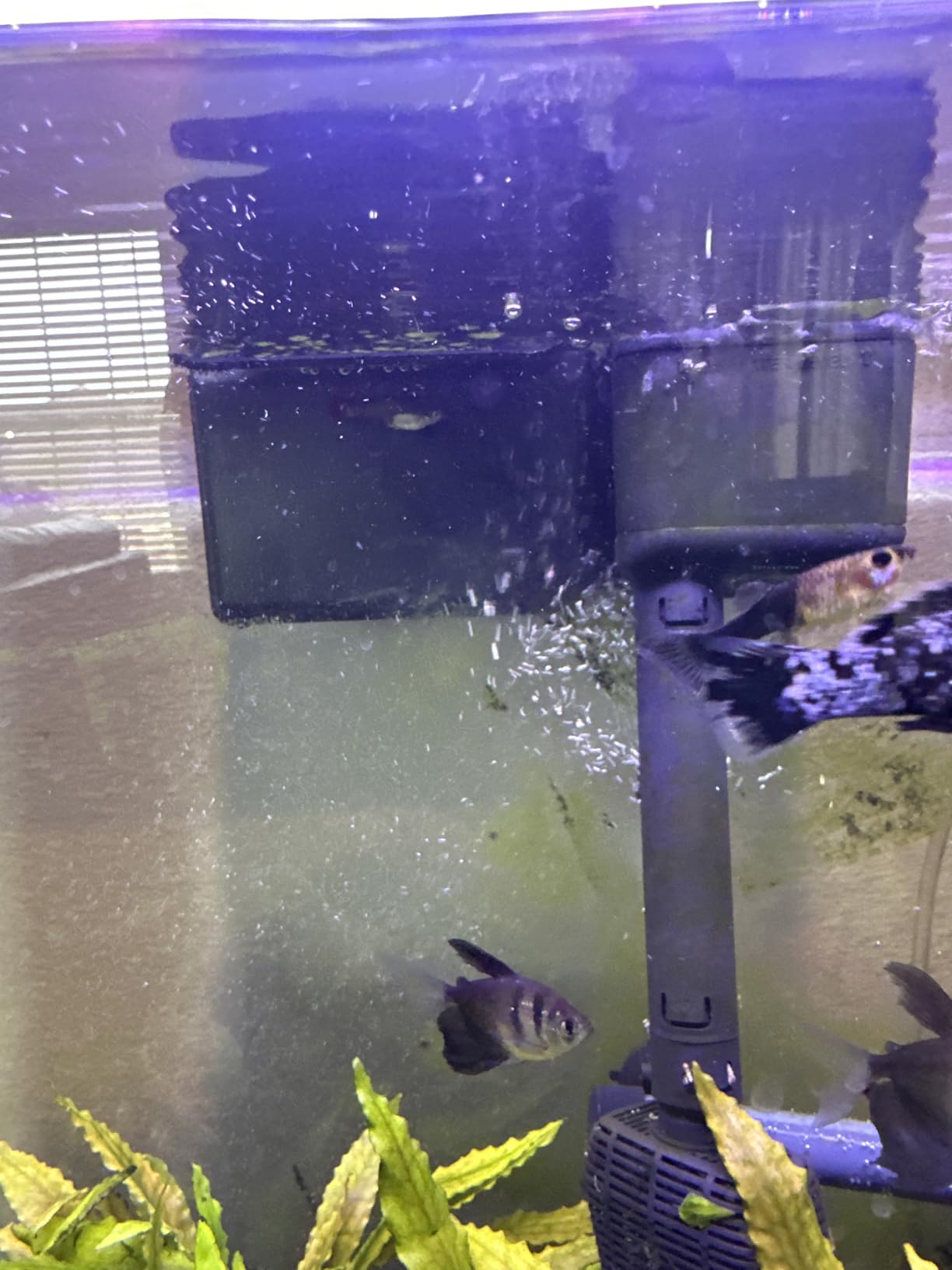 Aqua-Tech Ultra Quiet Power Filter, For Aquariums 20-40 Gallons customer photo 2
