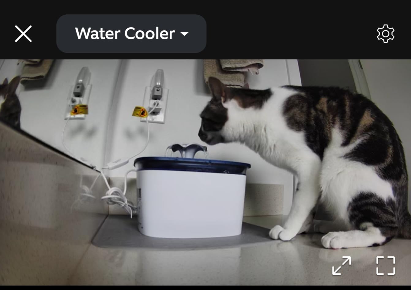 Veken Innovation Award Winner 95oz/2.8L Cat Water Fountain | Automatic Pet Fountain Dog Water Dispenser with Replacement Filters & Silicone Mat, Gift for Cats, Dogs (Grey, Plastic) customer photo 1