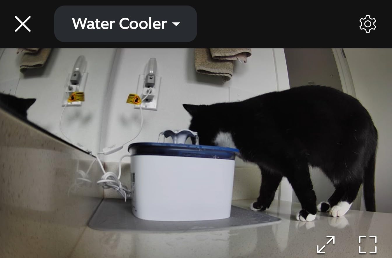 Veken Innovation Award Winner 95oz/2.8L Cat Water Fountain | Automatic Pet Fountain Dog Water Dispenser with Replacement Filters & Silicone Mat, Gift for Cats, Dogs (Grey, Plastic) customer photo 2
