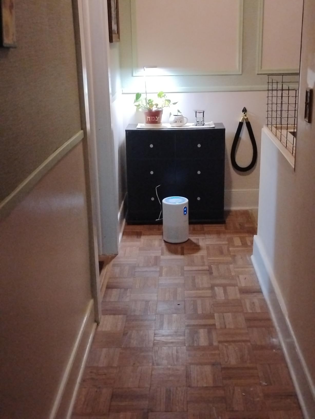 MOOKA Air Purifiers for Home Large Room up to 1076ft², H13 True HEPA Air Filter Cleaner, Odor Eliminator, Remove Smoke Dust Pollen Pet Dander, Night Light, B-D02L White customer photo 1