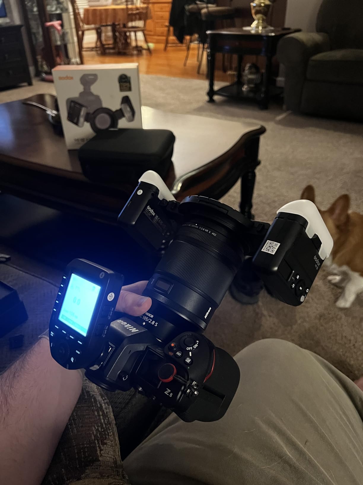 Godox MF12 MF12-K2 Macro Flash Off-Camera TTL Flash Speedlite 12W, 2.4G Wireless Control,TTL/M Mode,Built-in 3.7V/6.29W Lithium Battery, Compatible with Nikon, Sony, Canon, Fuji, Olympus and Panasonic customer photo 1