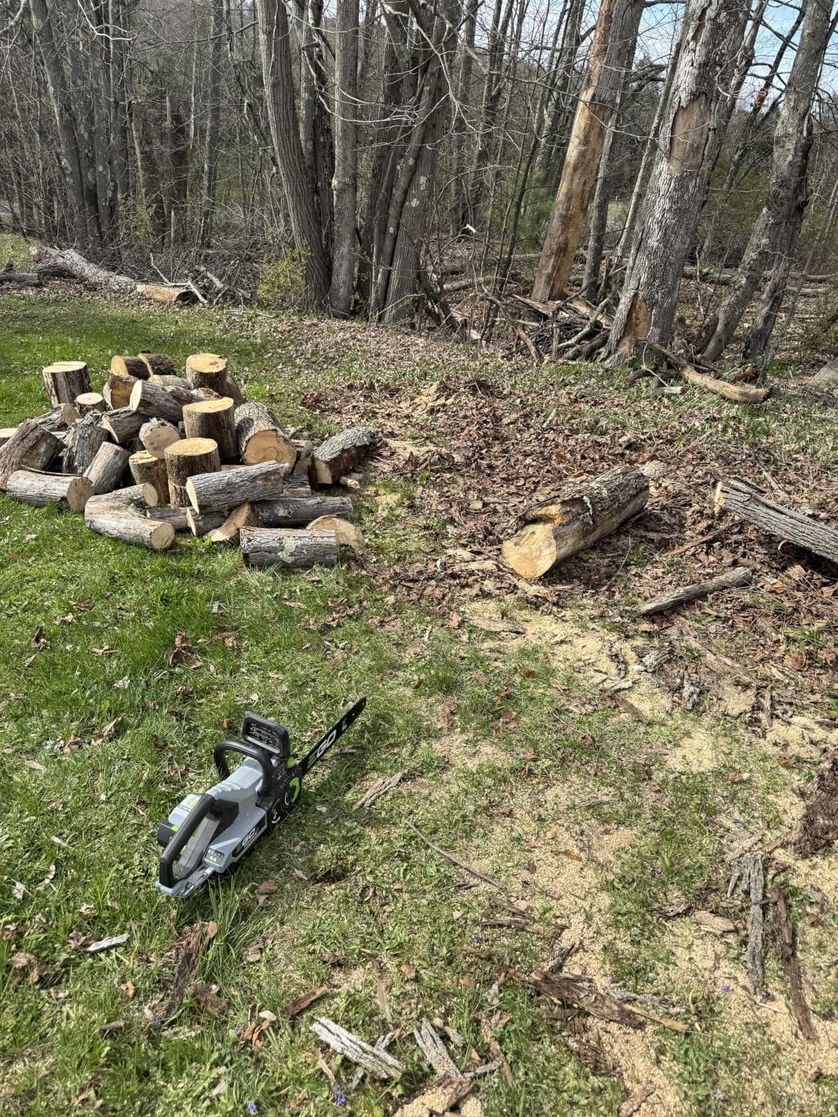 EGO POWER+ Chain Saw, 16” Battery Powered Chainsaw, Electric Cordless, Includes 56V 4.0Ah Battery and Charger – CS1613 customer photo 2