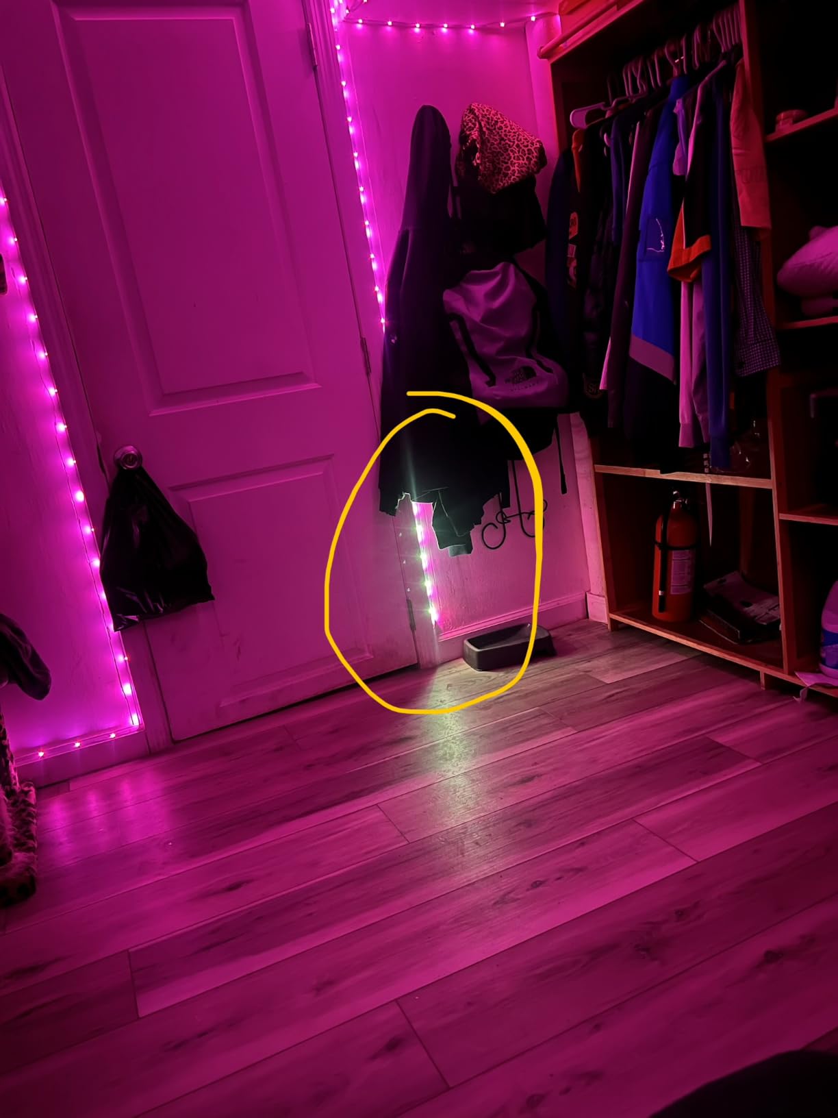 KSIPZE 100ft Led Strip Lights RGB Music Sync Color Changing Led Lights with Smart App Control Remote Led Lights for Bedroom Room Lighting Flexible Home Décor customer photo 2