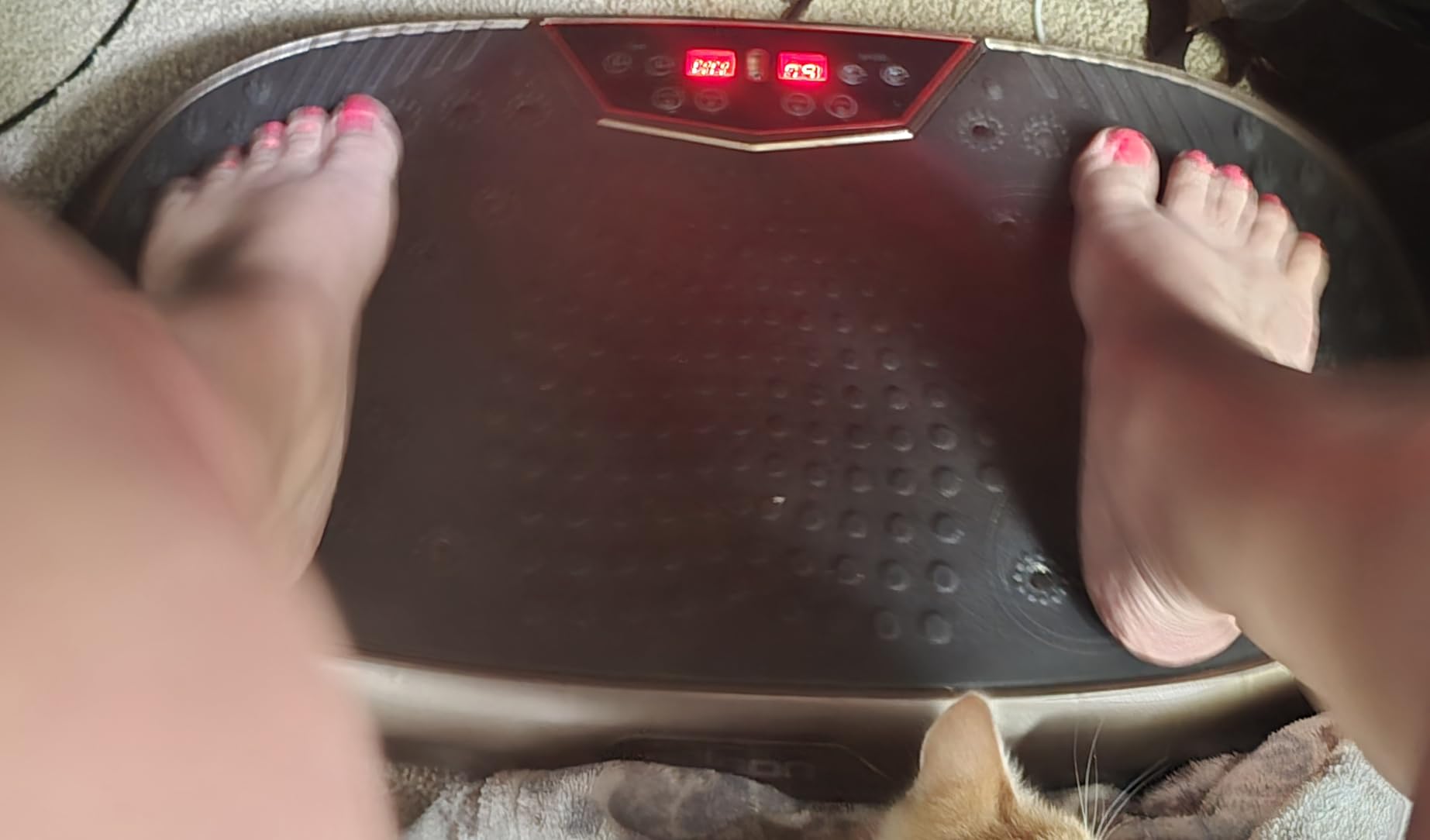 EILISON FitMaxx 3D XL Vibration Plate Exercise Machine with 120 Speeds customer photo 2