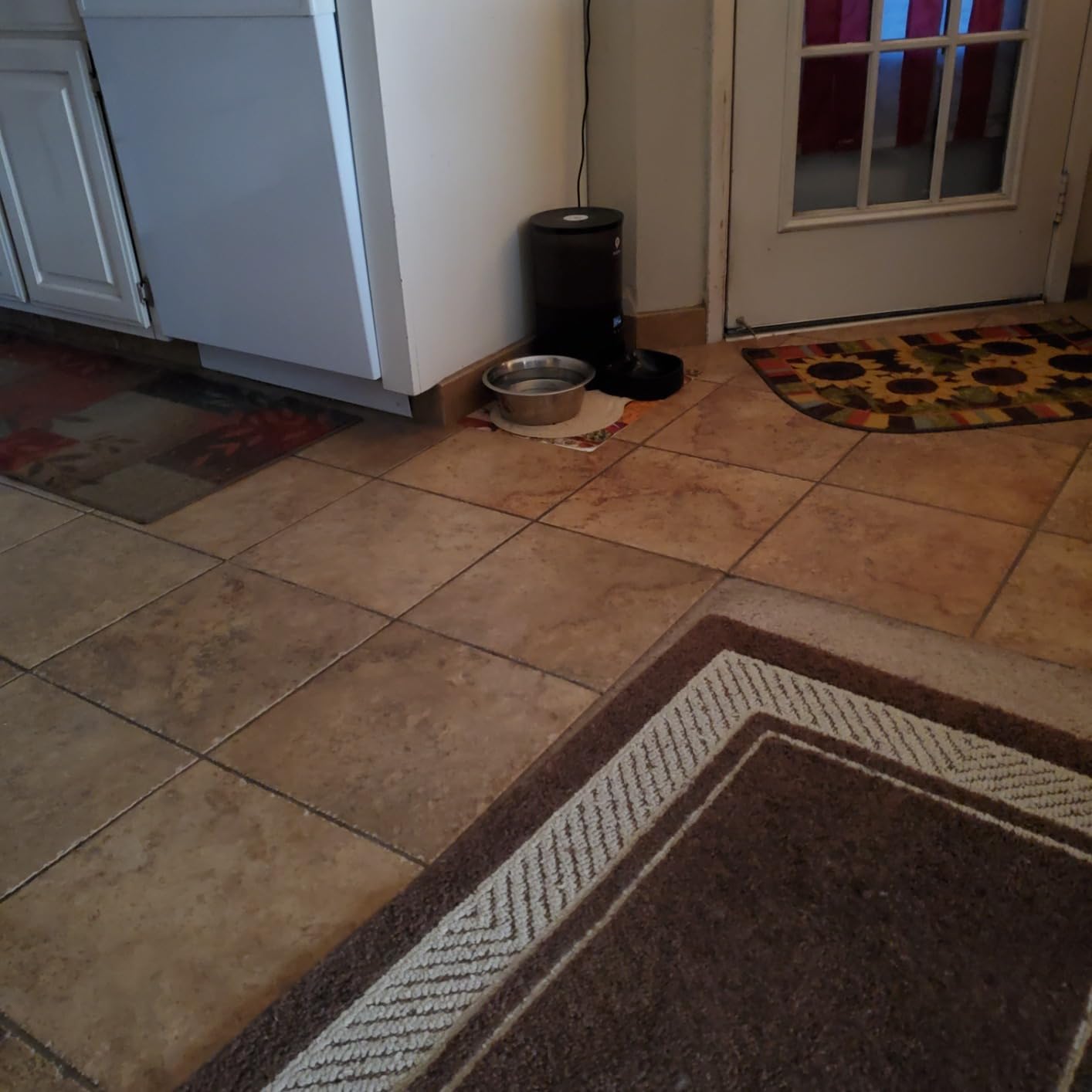 PETULTRA Automatic Cat Feeder: 4L Timed Cats Food Dispenser Programmable customer photo 1