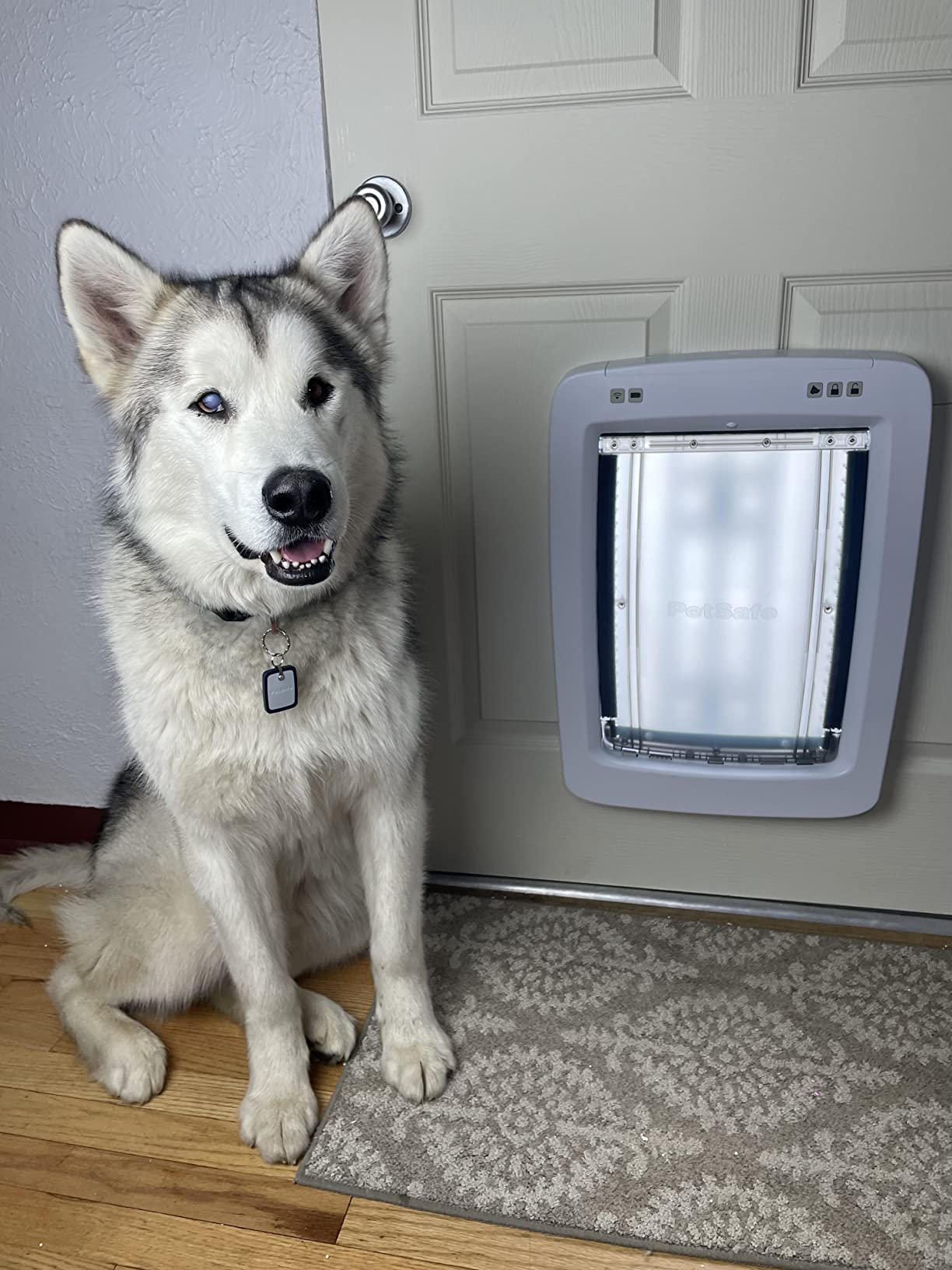 PetSafe SmartDoor Connected Pet Door, App Controlled, Medium customer photo 2