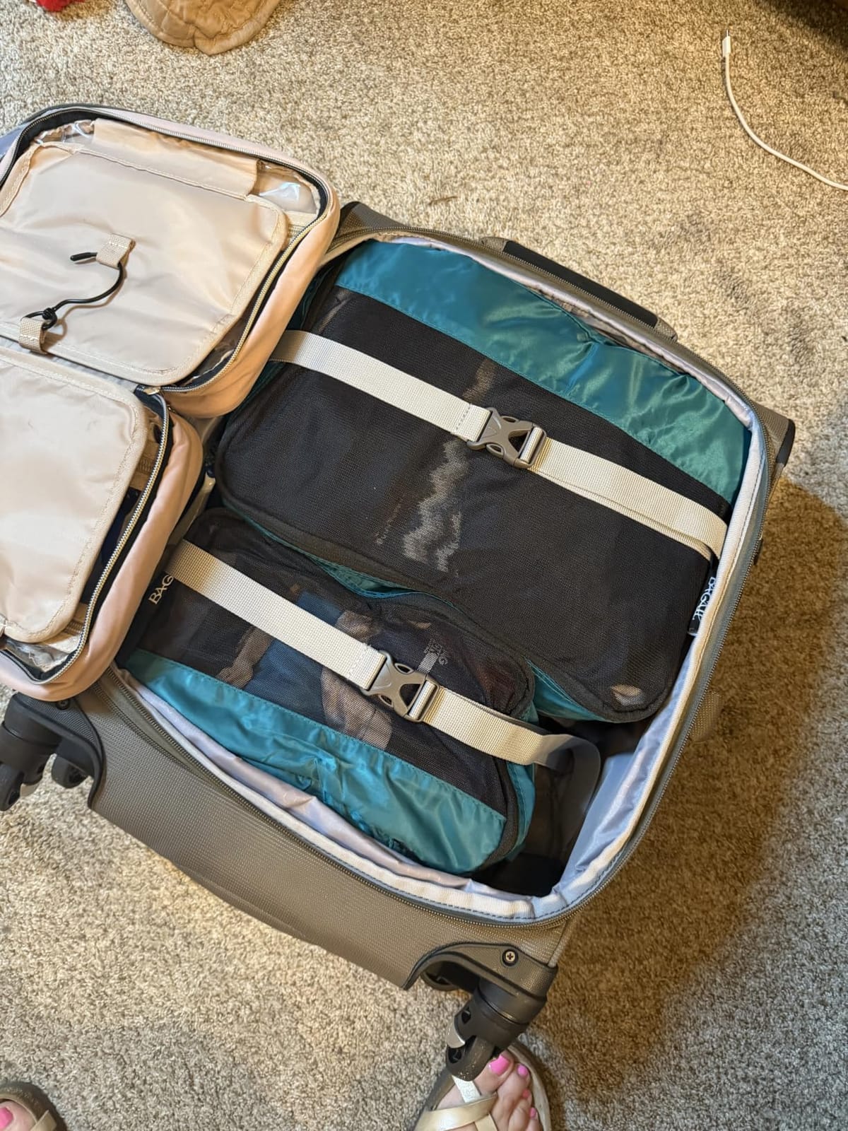 Travelpro Maxlite 5 Softside Carry-On Luggage Spinner, Black, 20-Inch customer photo 2