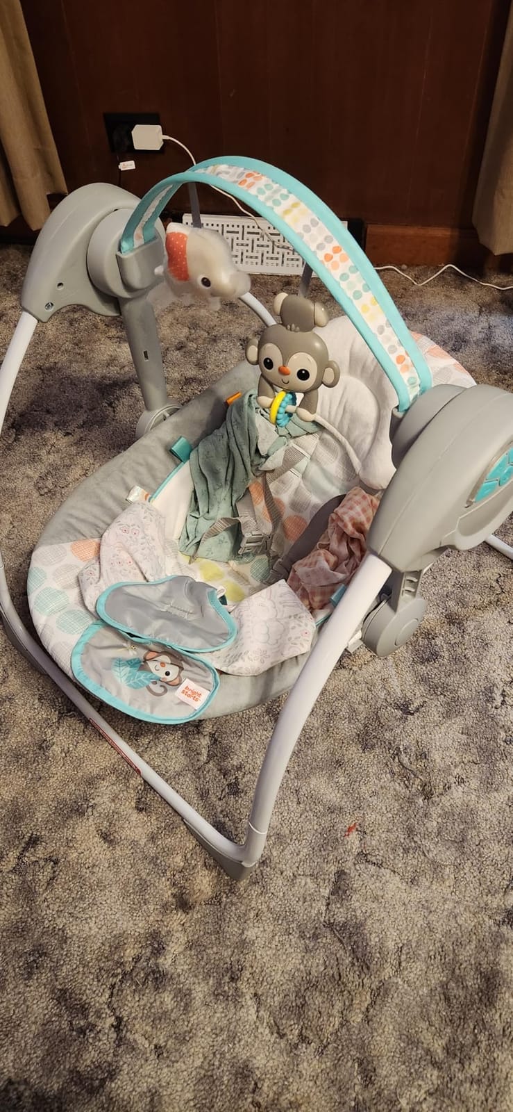 Bright Starts Portable Electric Baby Swing, Newborn to 9 Months customer photo 1