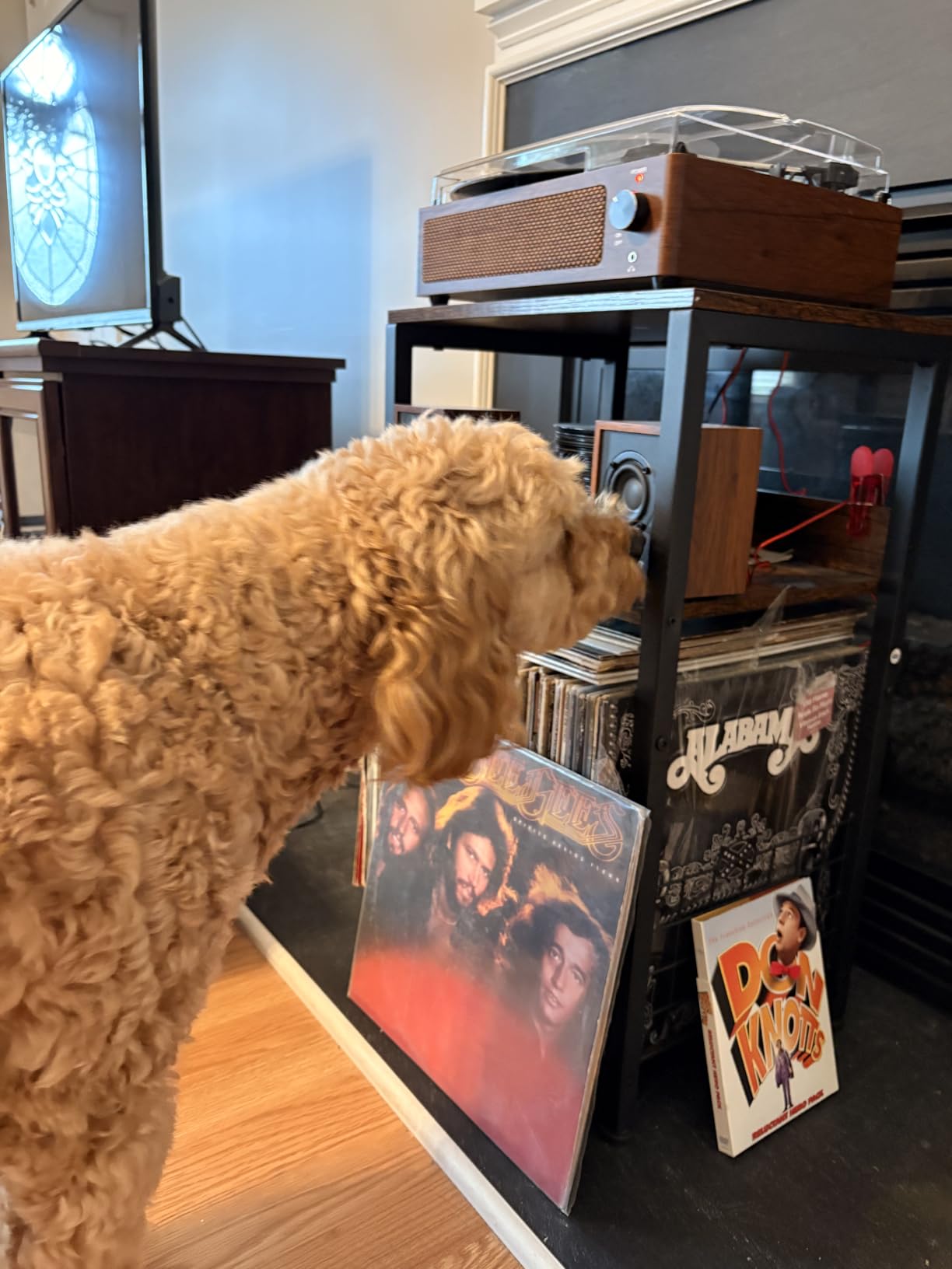LELELINKY 3 Tier End Table,Record Player Stand with Storage Up to 100 Albums,Turntable Stand for Vinyl,Brown Records Shelf for Living Room Bedroom customer photo 1