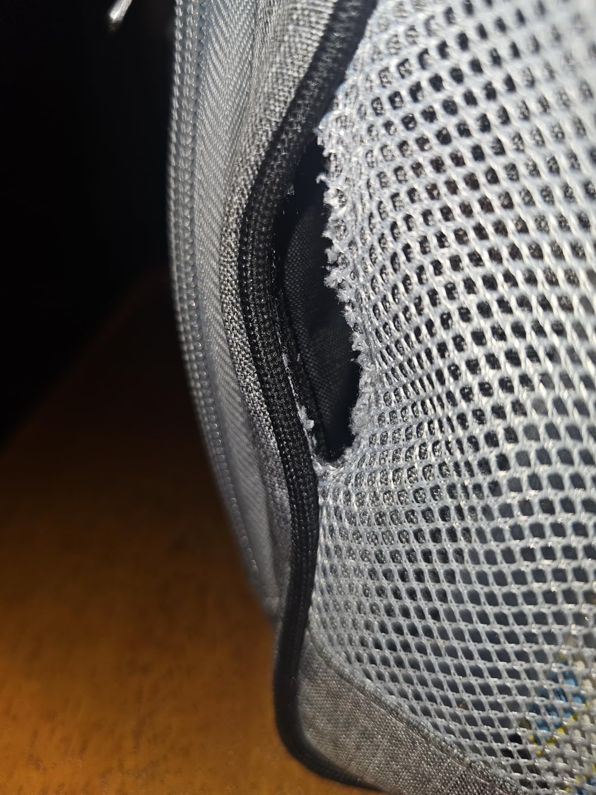 Amazon Basics Soft Insulated Cooler customer photo 2