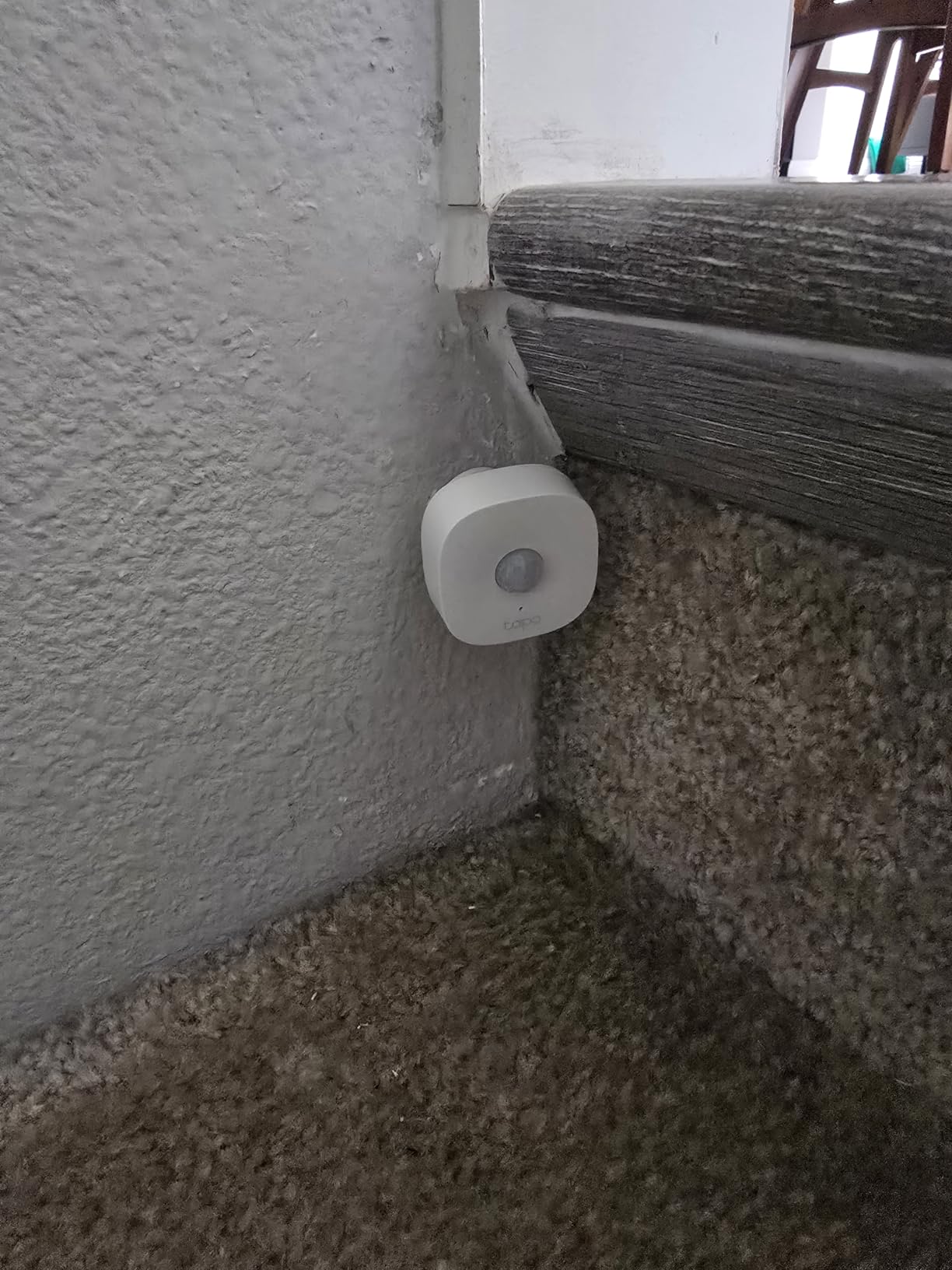 TP-Link Tapo Motion Sensor, Requires Tapo Hub, Long Battery Life w/Sub-1G Low-Power Wireless Protocol, Wide Range Detection, Adjustable Sensitivity, Real-Time Notification, Smart Action, Tapo T100 customer photo 1