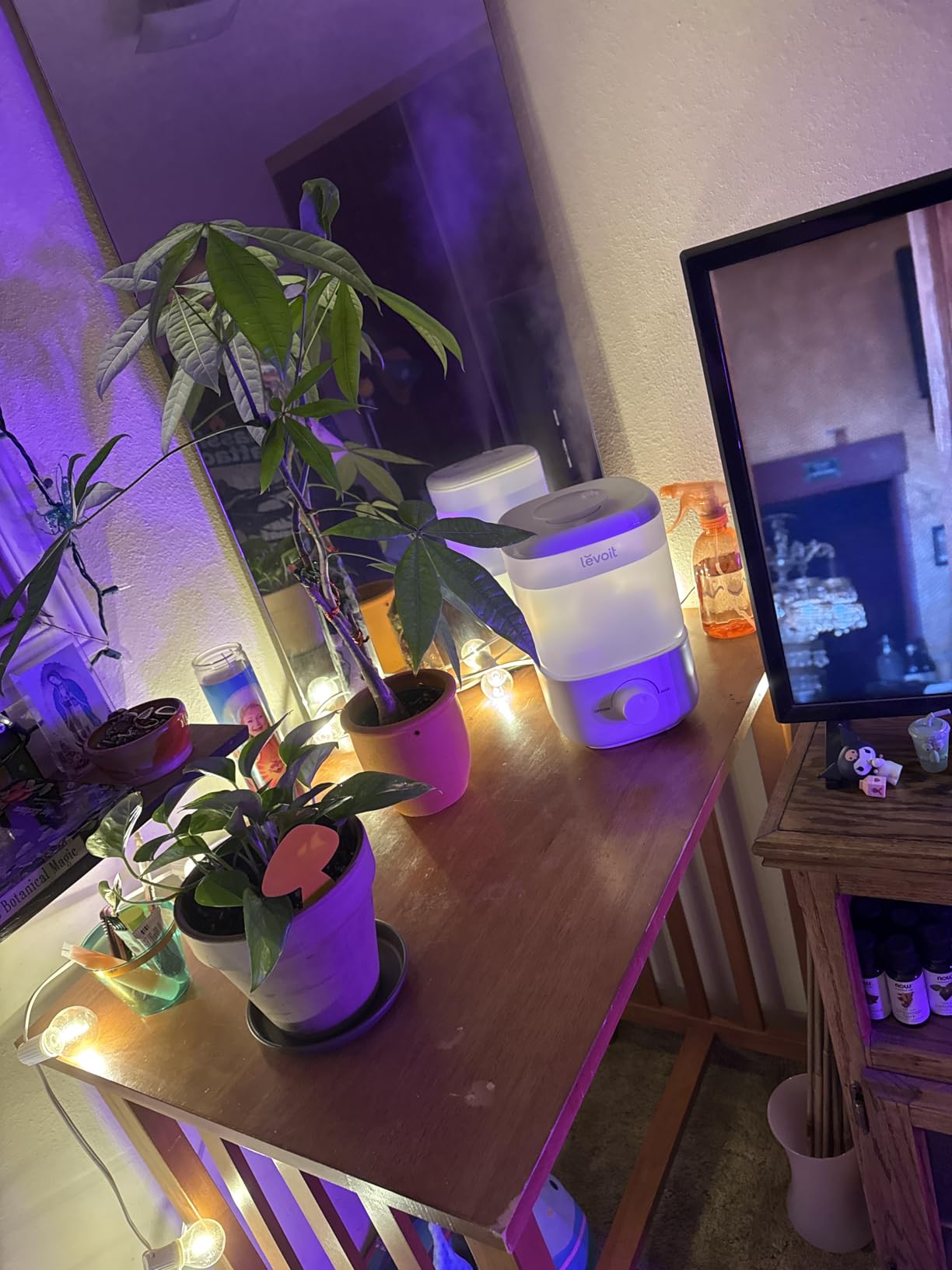 Levoit 3L Dual 200S Smart Humidifiers for Bedroom, Top Fill, Quiet, Blue customer photo 2