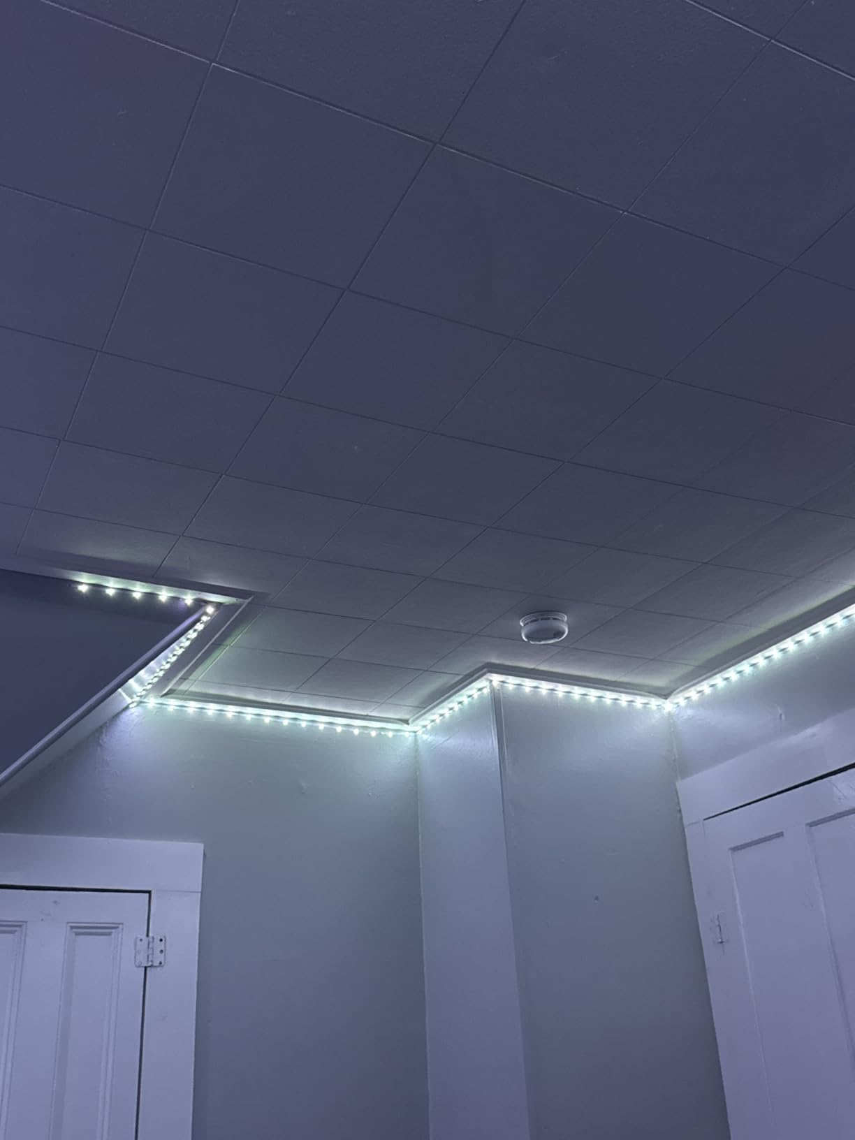 Leeleberd Led Lights for Bedroom 100 ft (2 Rolls of 50ft) Music Sync Color Changing RGB Led Strip Lights with Remote App Control Bluetooth Led Strip, Lights for Room Home Kitchen Party Decor customer photo 1