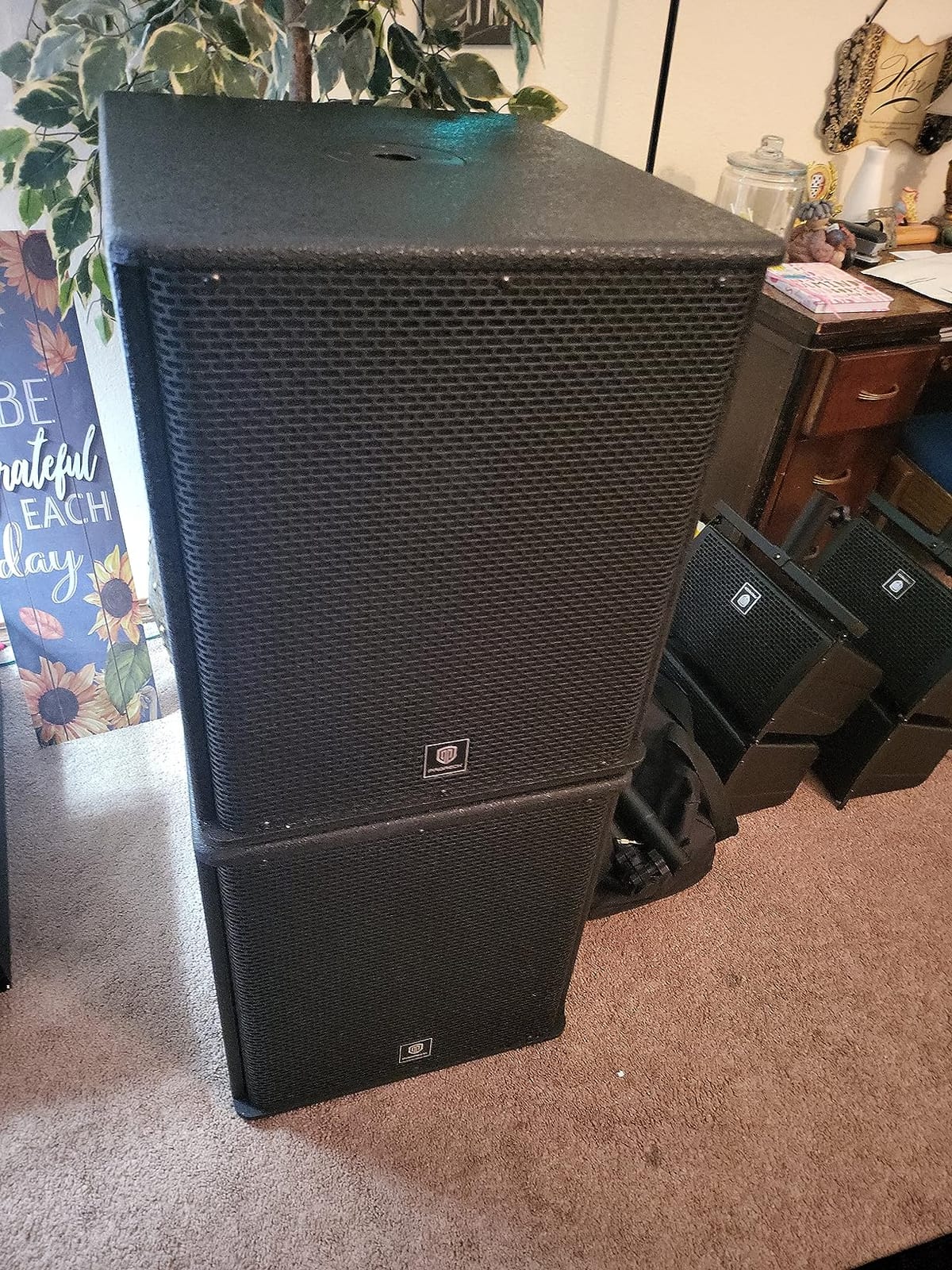 PRORECK Club 6000 15-inch 6000W P.M.P.O Stereo PA Speaker System Combo Set 4 Line Array Speakers, 2 15-inch Subwoofers with Bluetooth/USB Read/SD Card/Remote Control, for Party DJ Wedding Meeting customer photo 1
