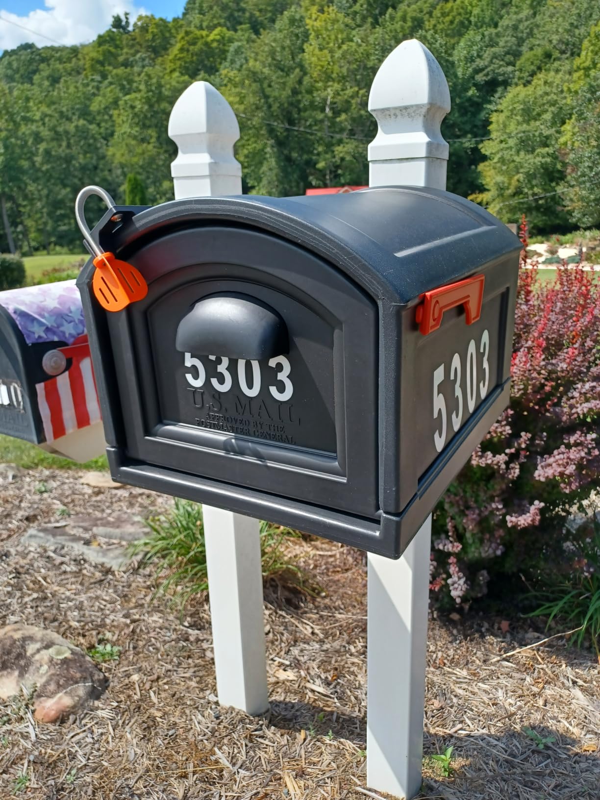 Mail Alert LH customer photo 1