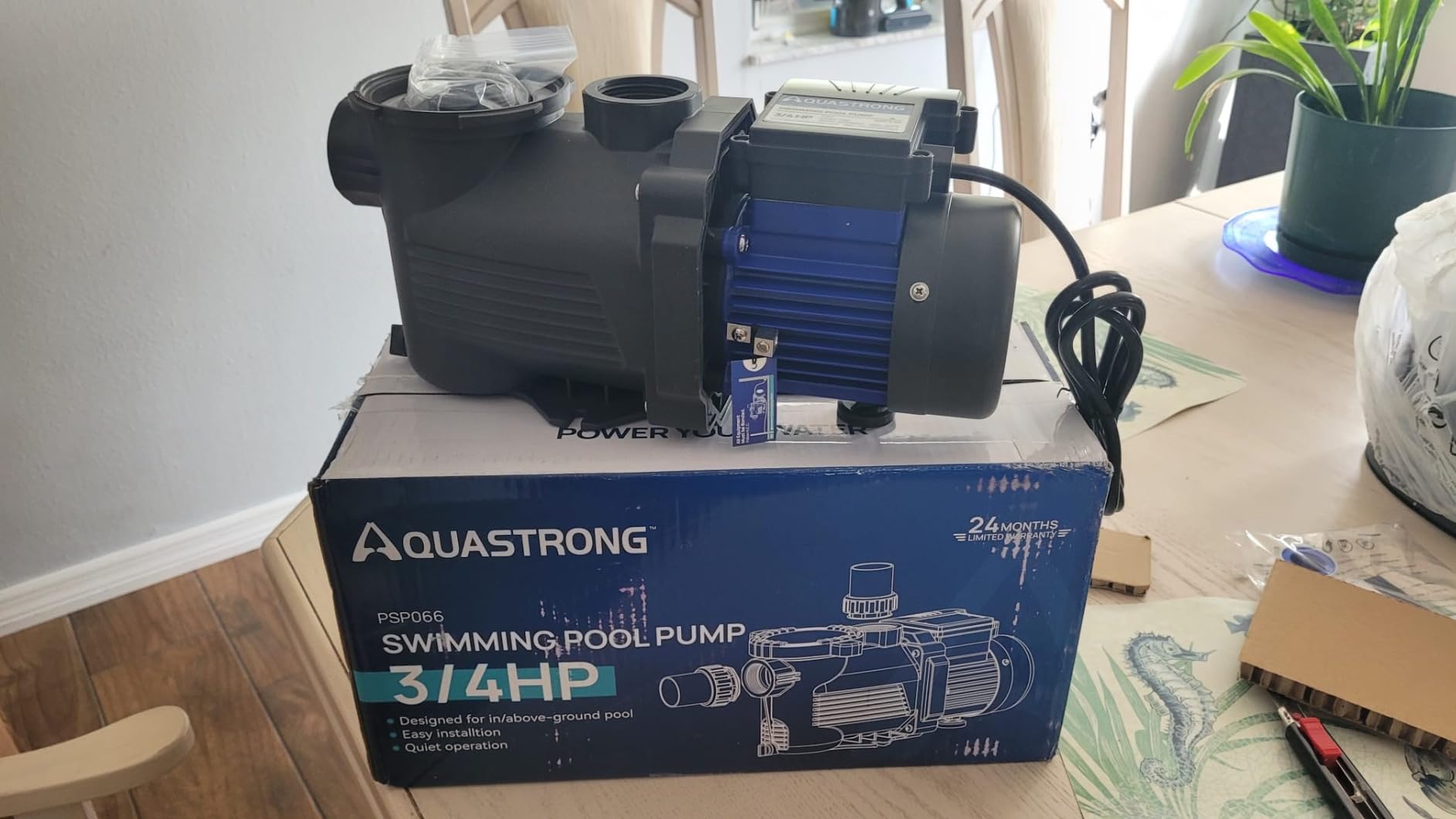 AQUASTRONG 3/4 HP Above Ground Pool Pump with Timer, 1.25