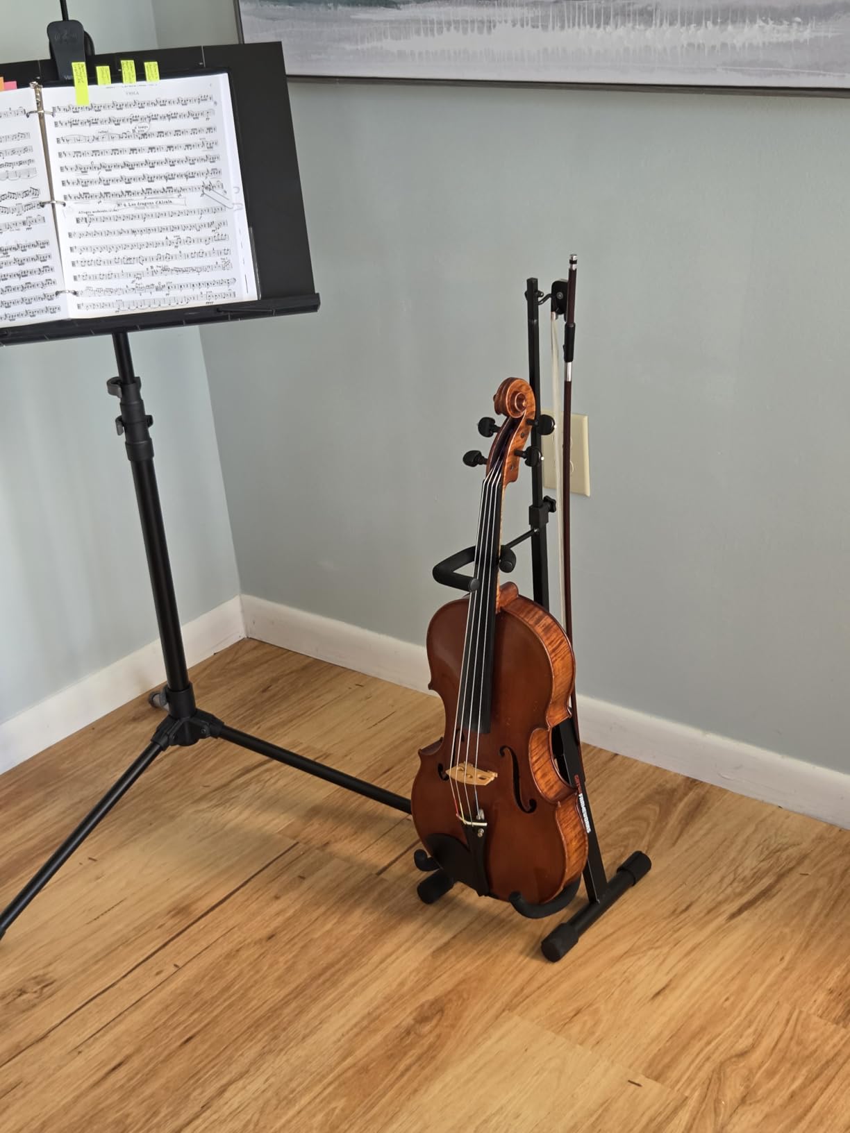 Gator Frameworks GFW-BNO-CELLOBASS Adjustable Stand for Cello and Double Bass customer photo 1