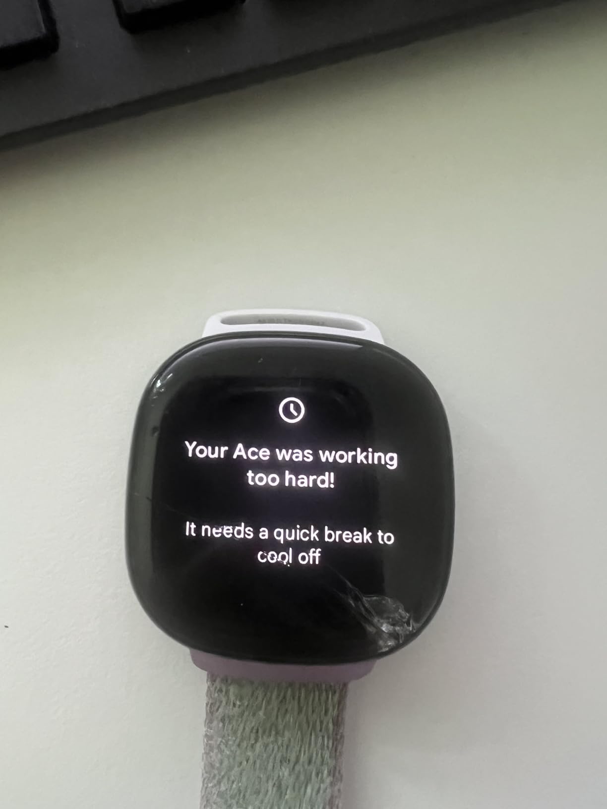 Fitbit Google Ace LTE - Kids Smartwatch with Call, Message, GPS, and Activity-Based Games, Ace Pass Data Plan Required - Mild - Strange Arcade customer photo 1