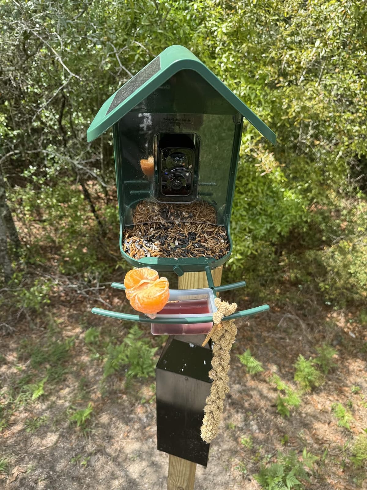 Smart Bird Feeder with Camera Solar Powered, 2K Live Stream for Backyard customer photo 1