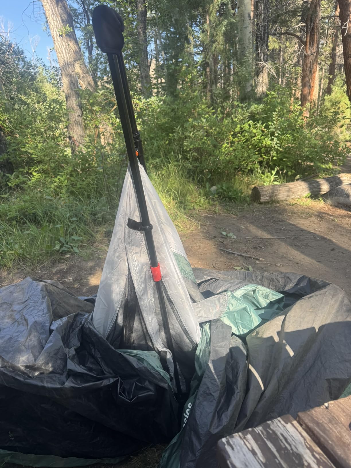 Amazon Basics Instant Camping Tent with Rainfly, Weather-Resistant, Quick Setup customer photo 2