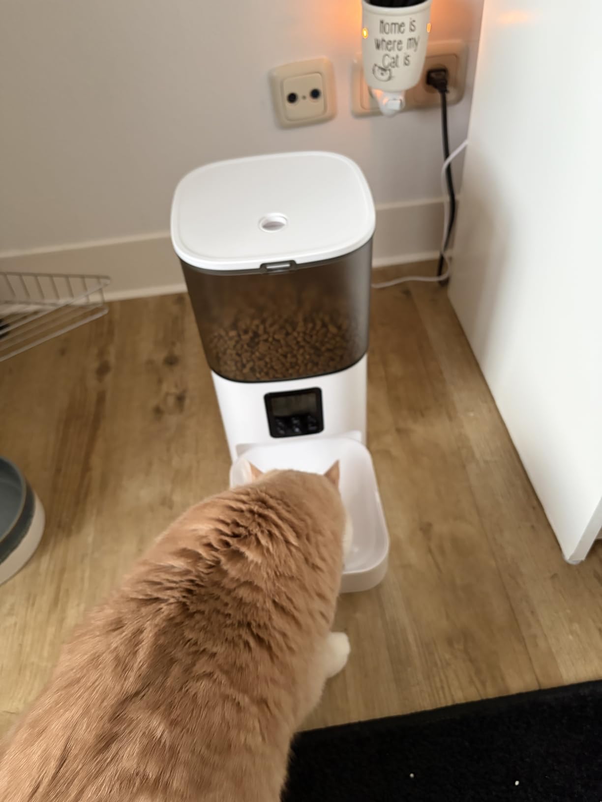 ANDOLL HOME Automatic Cat Feeder, 4L Cat Food Dispenser with 10s Voice Recorder, Pet Feeder up to 8 Meals per Day, Timed Dog Feeder with Dry Food Sealed Ring customer photo 2