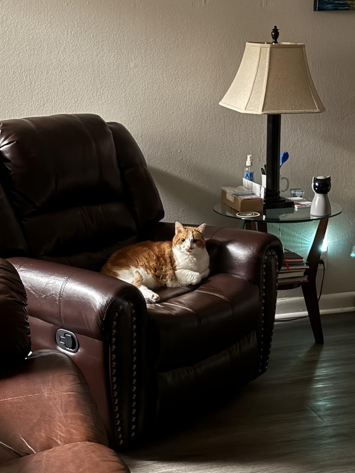 CANMOV Leather Recliner Chair, Classic and Traditional Manual Recliner Chair with Comfortable Arms and Back Single Sofa for Living Room, Dark Brown customer photo 1