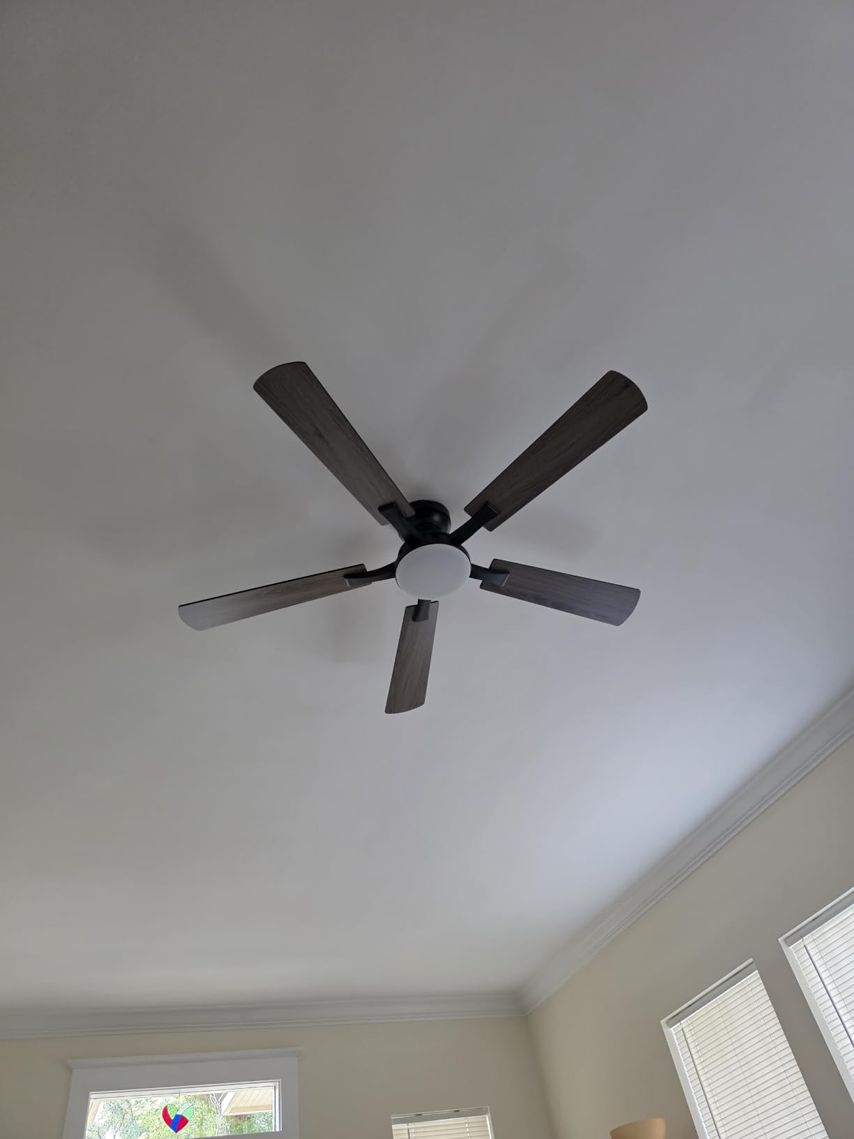 ZMISHIBO 52 Inch Ceiling Fans with Lights, Remote&App Control, Flush Mount | Low Profile, Dimmable 20W LED Light, Quiet Reversible Motor, Strong Airflow, Easy Install for Bedroom/Living Room/Apt, Black customer photo 1