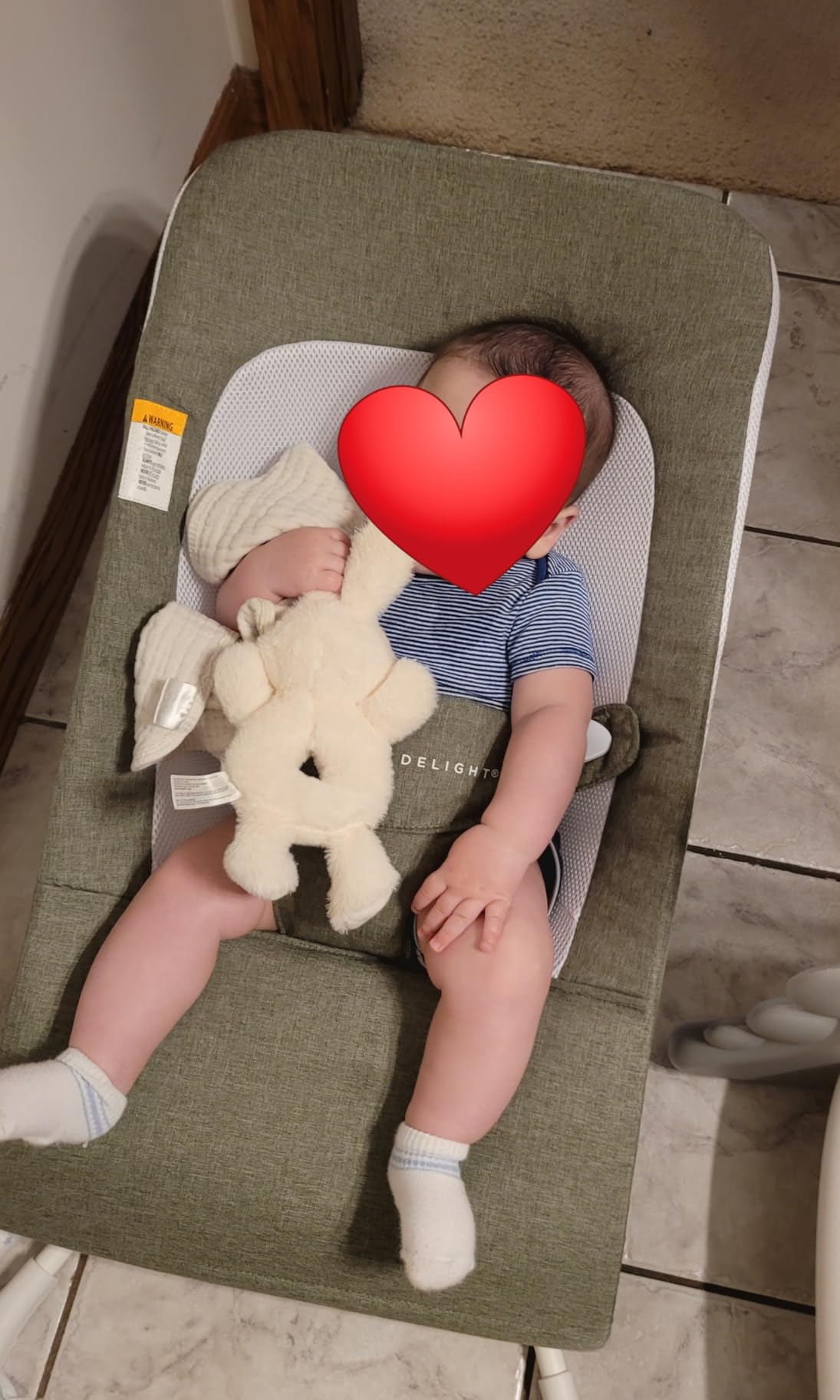 Baby Delight Highland Baby Bouncer, Sage Tweed customer photo 1