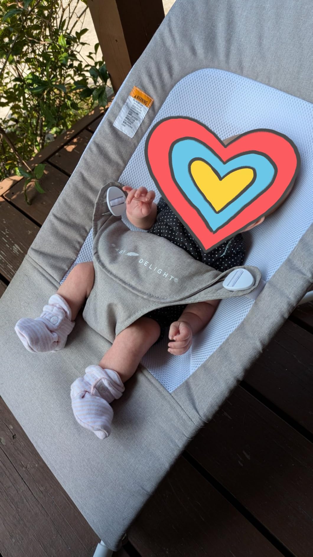 Baby Delight Highland Baby Bouncer, Sage Tweed customer photo 2