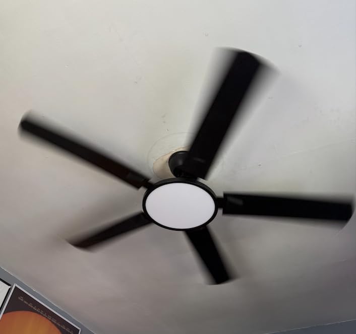 OJX 52 Inch Ceiling Fans with Lights and Remote/APP Control customer photo 1