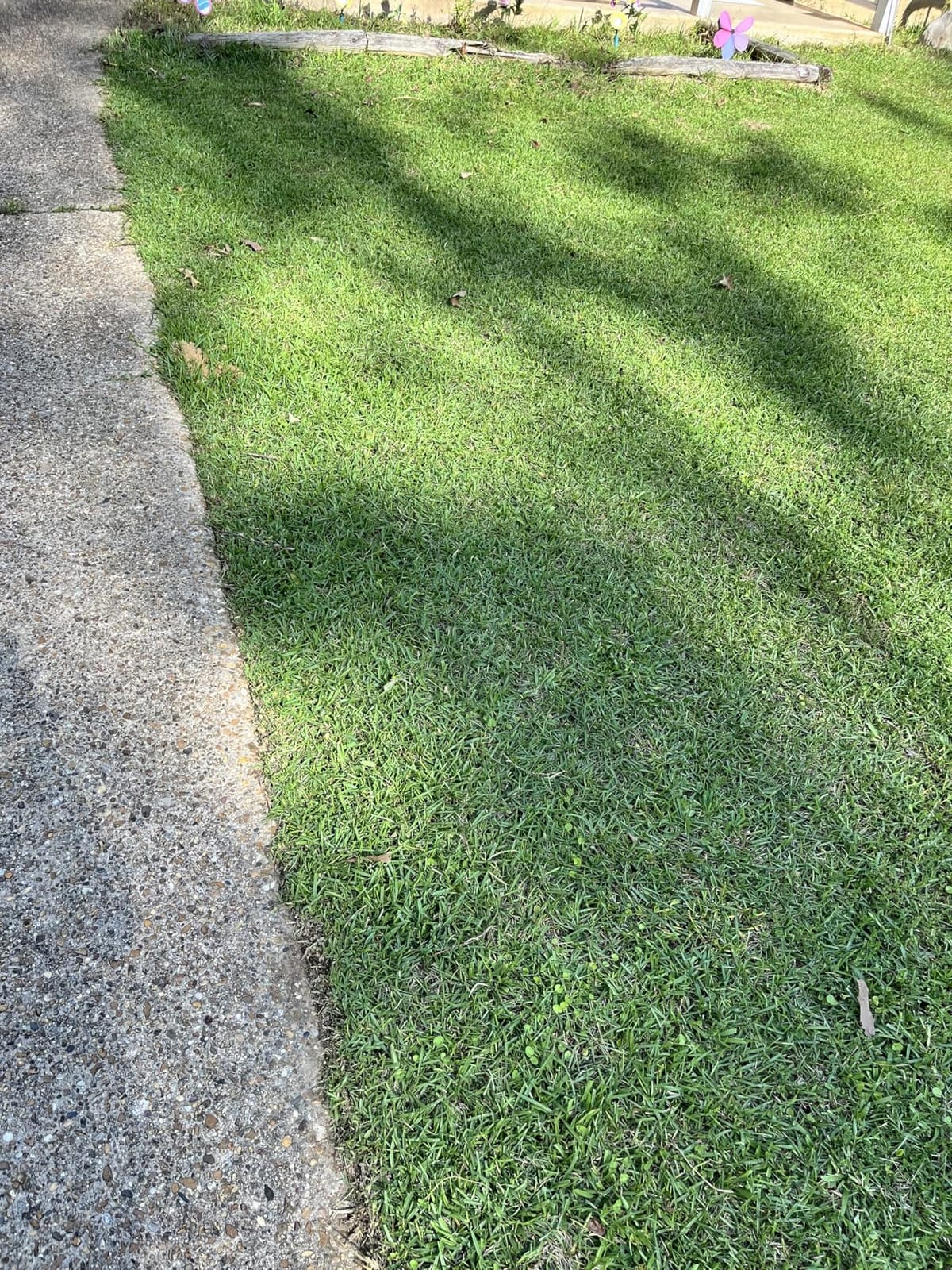 Electric String Trimmer Cordless with 2.0Ah Battery & Charger 20V Lawn Tool customer photo 2