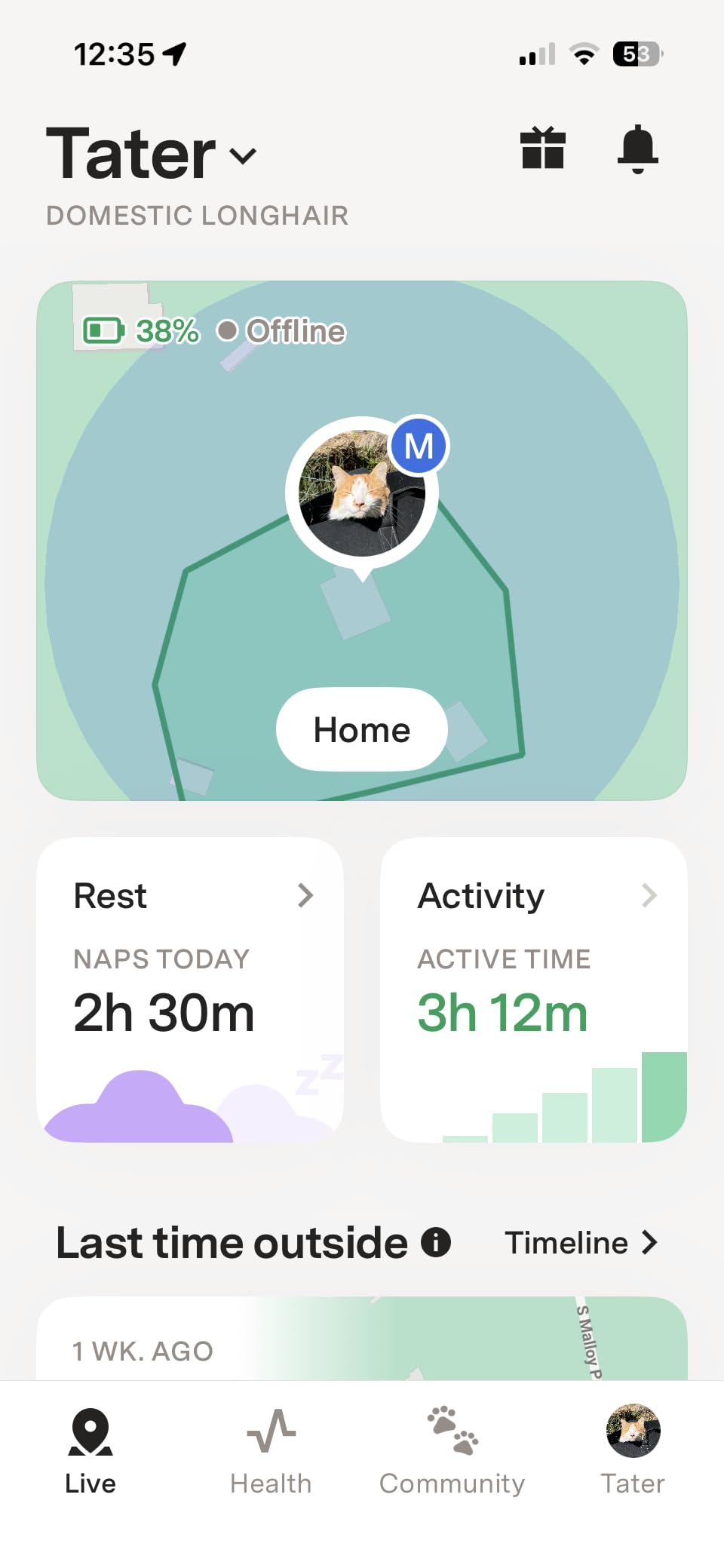 Fi Mini Attachable GPS + Health Tracker for Dogs, 6-Month Membership customer photo 1
