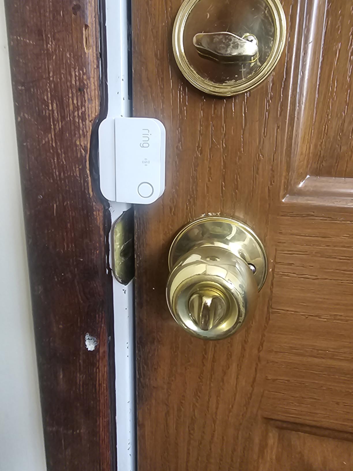 Ring Sensors: Window & Door Sensor (newest model) – Instant notifications, on Amazon Sidewalk, no base station needed, Pro Monitoring (sold separately) customer photo 1