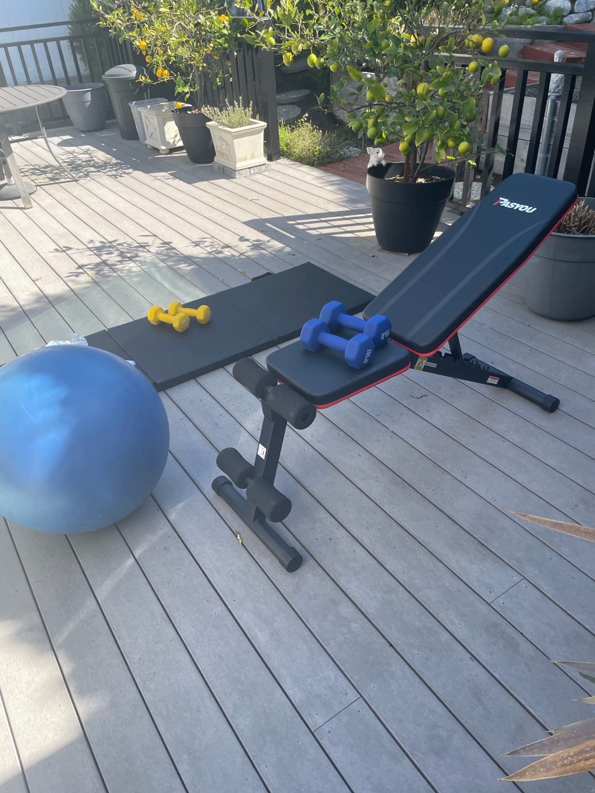 PASYOU Adjustable Weight Bench, Foldable, Incline Decline Flat, Bench Press with 660LBS, 95% Pre-Assembled, Compact Workout Bench Full Body Strength Training Bench for Home Gym, Wider Seat customer photo 1