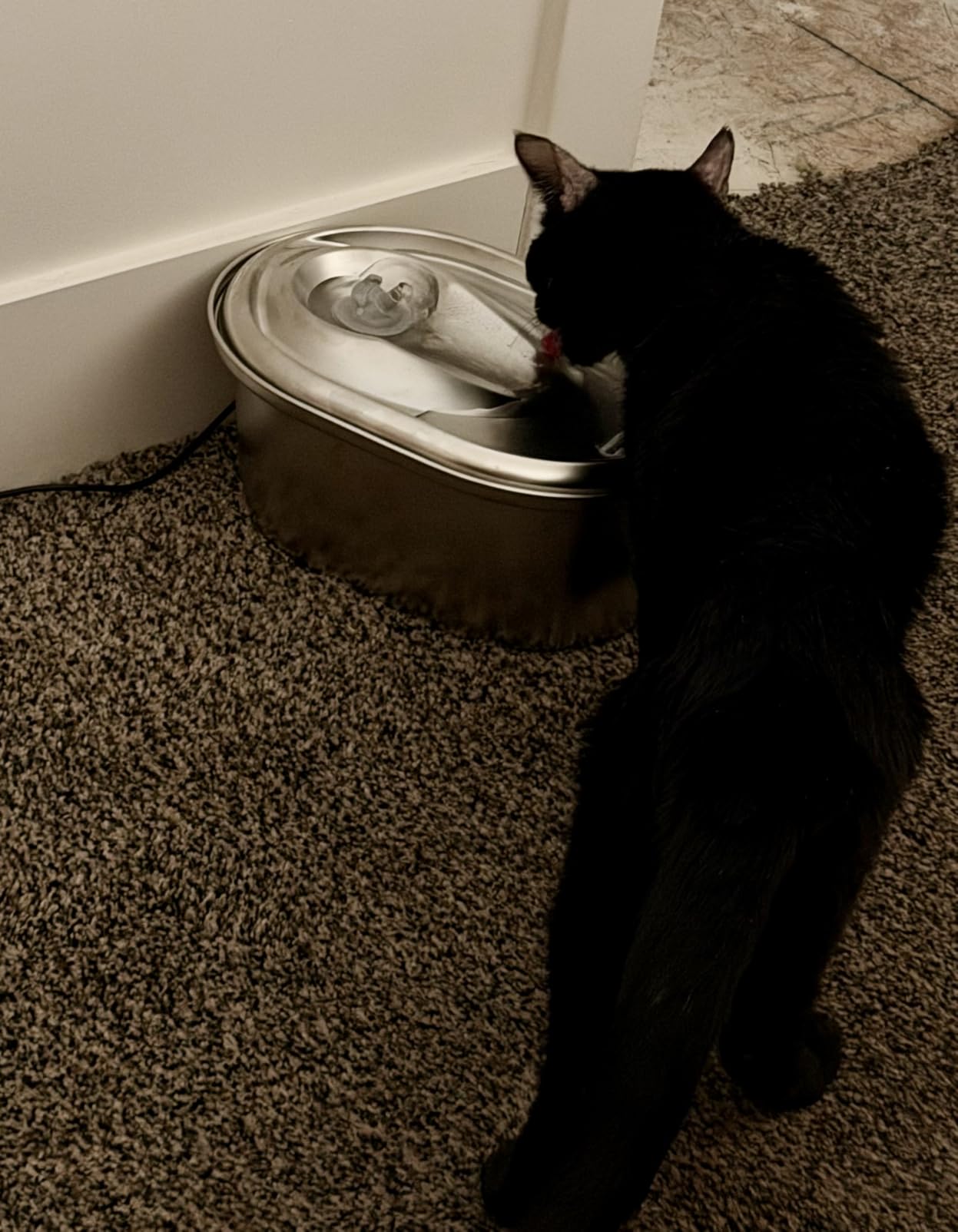 PETLIBRO Stainless Steel Cat Water Fountain, 101oz/3L Automatic Water Dispenser for Cats Indoor, Quiet Pet Water Dispenser with 2 Filters, Adjustable Flow Cat Fountain Also for Small Dogs customer photo 1