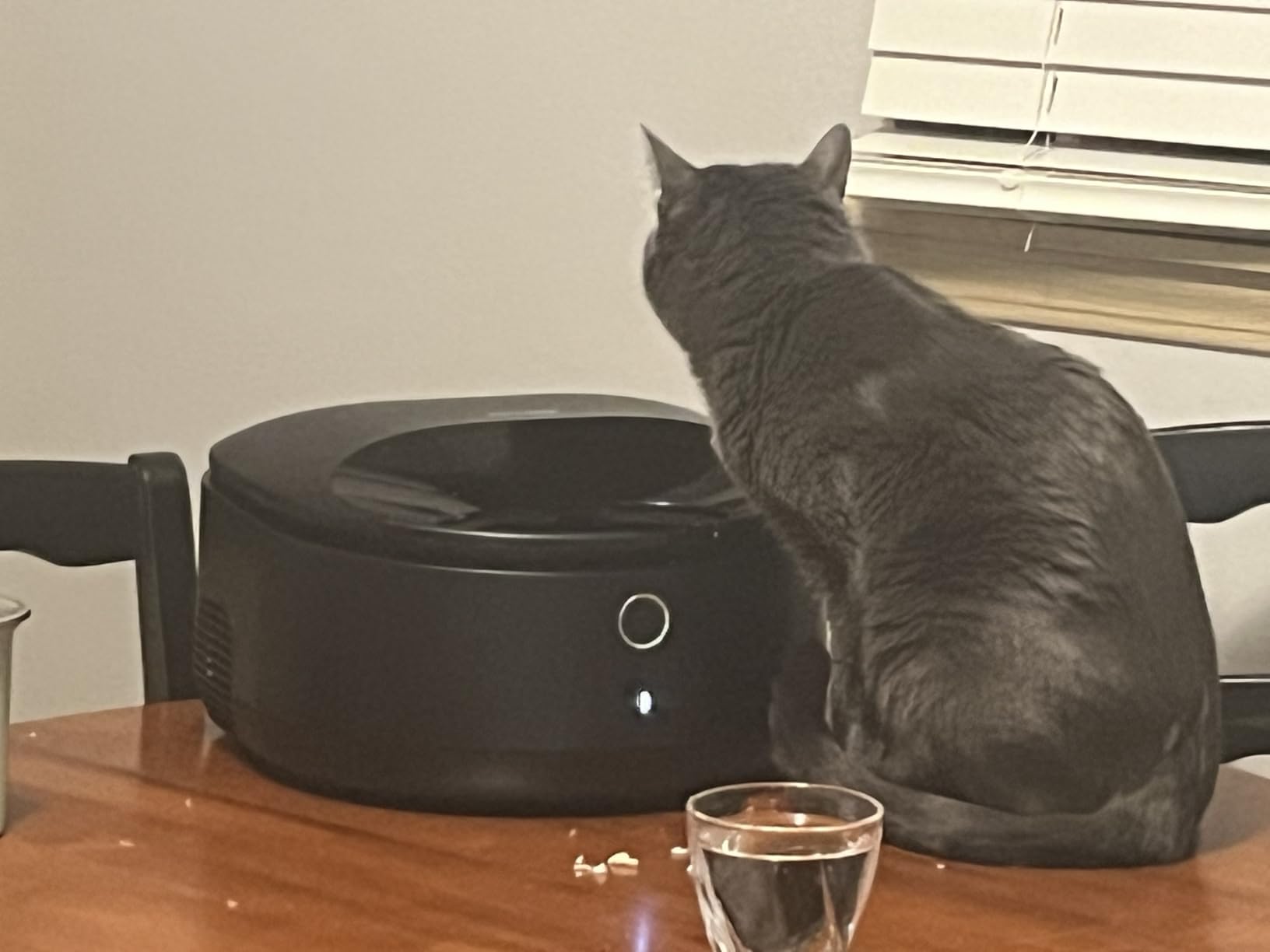 PETLIBRO Automatic Wet Cat Feeder with Refrigeration 2026 New Verision, App-Controlled Cat Food Dispenser with Semiconductor Cooling, 3 Fresh Meals for 3 Days, Stainless Steel Bowl，White customer photo 1